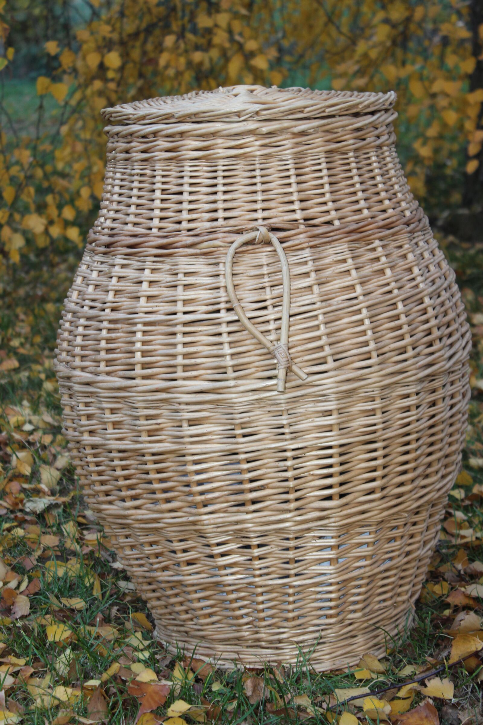 Canon EOS 600D (Rebel EOS T3i / EOS Kiss X5) sample photo. Basket, wicker, laundry basket photography