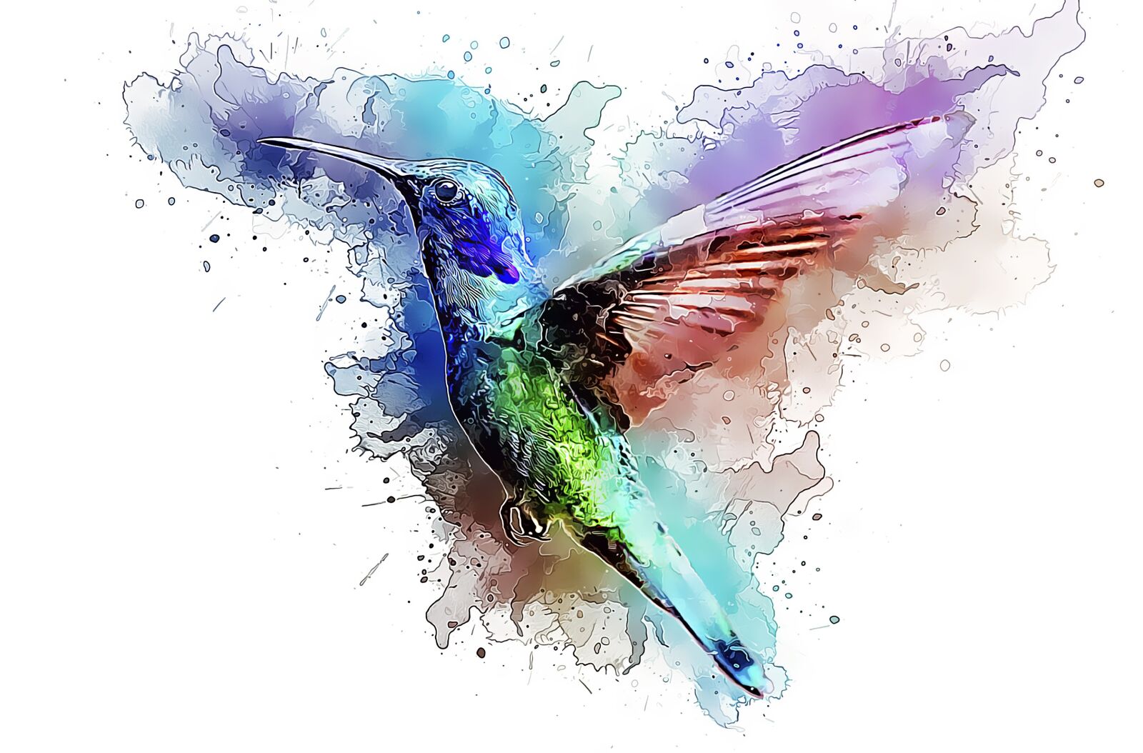 Nikon D3S sample photo. Hummingbird, bird, trochilidae photography