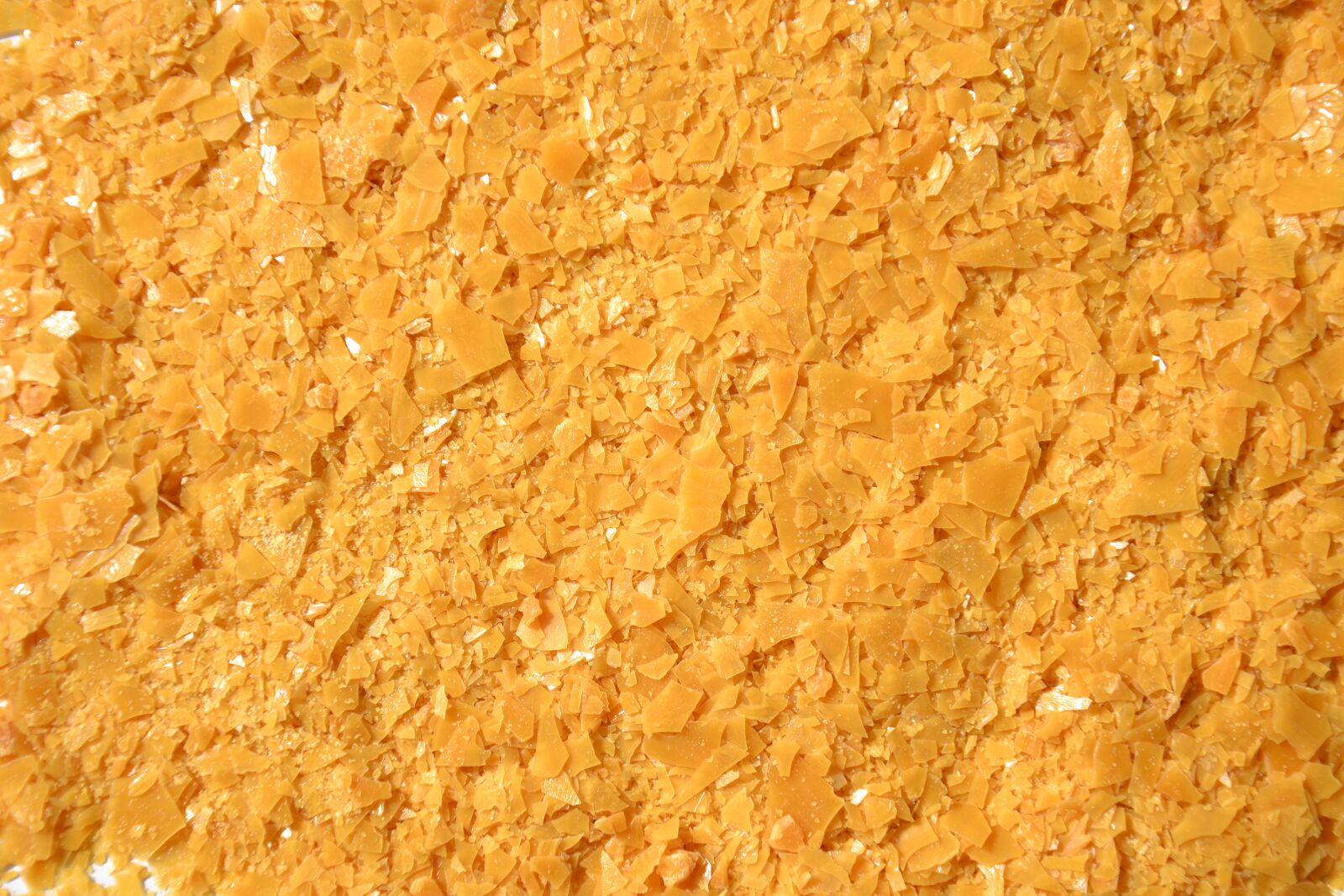 Nikon D3100 sample photo. Carnauba wax, plates, texture photography
