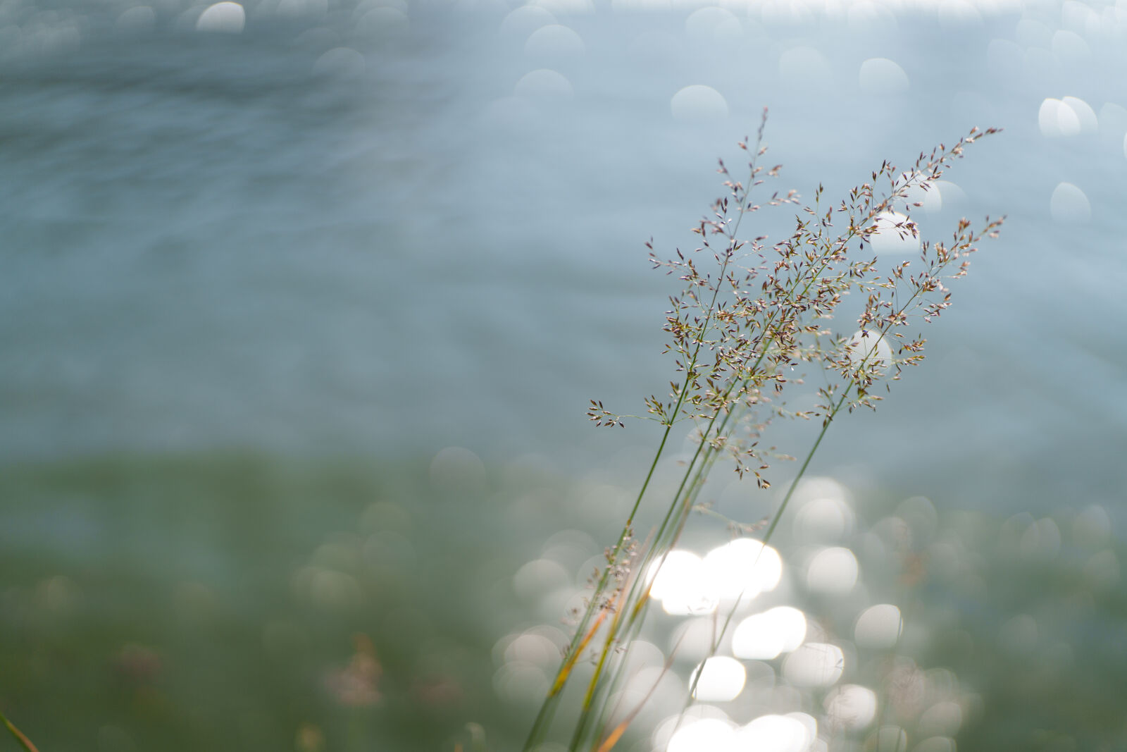 Sigma 28-45mm F1.8 DG DN Art sample photo. Harbor glimmer photography