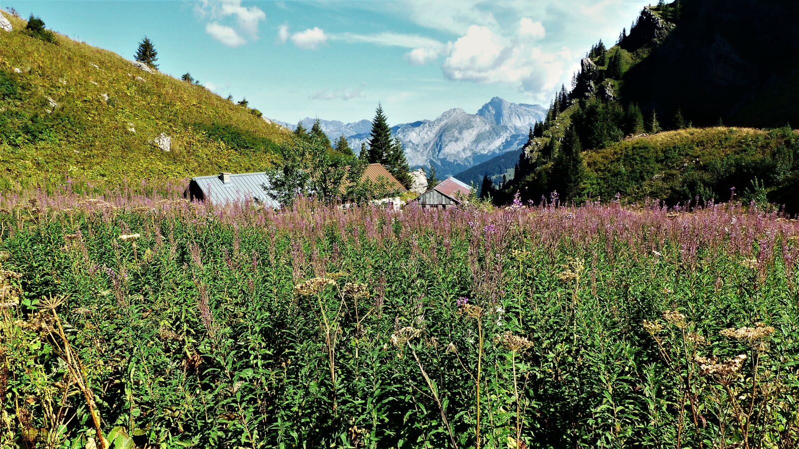 Panasonic Lumix DMC-FZ200 sample photo. Nature, landscape, alpine photography