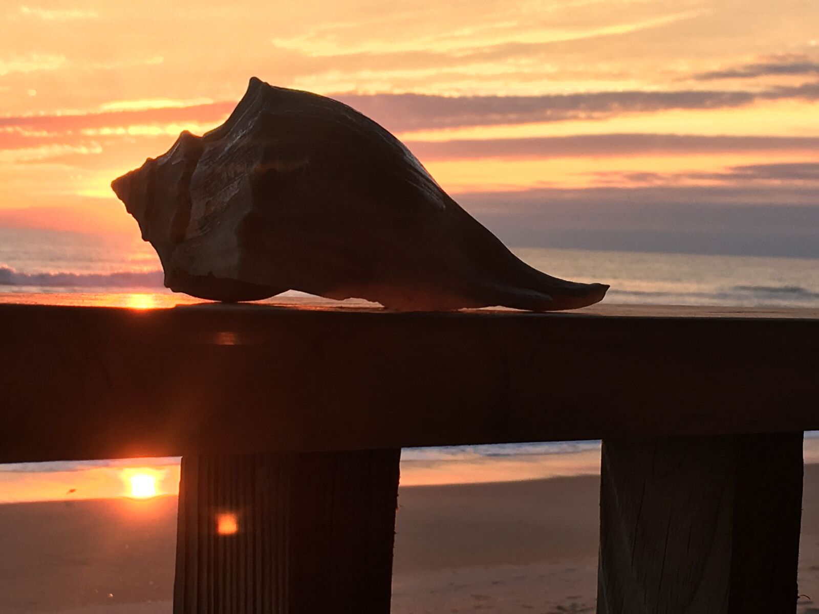iPhone 6s back camera 4.15mm f/2.2 sample photo. Early, morning, seashell, sunrise photography