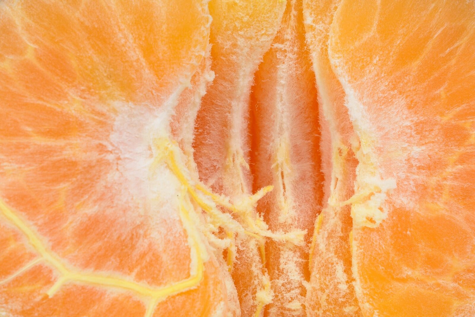 Nikon D7100 sample photo. Orange, fruit, food photography