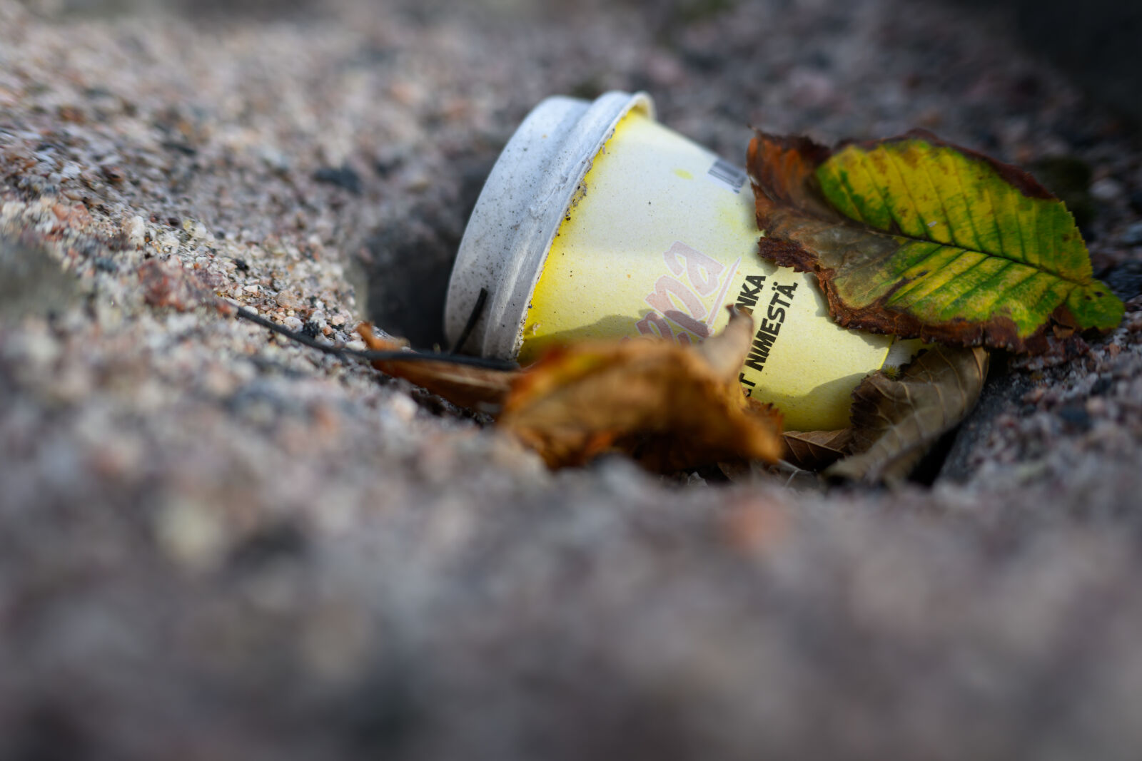 Nikon Z8 sample photo. Littering decay photography