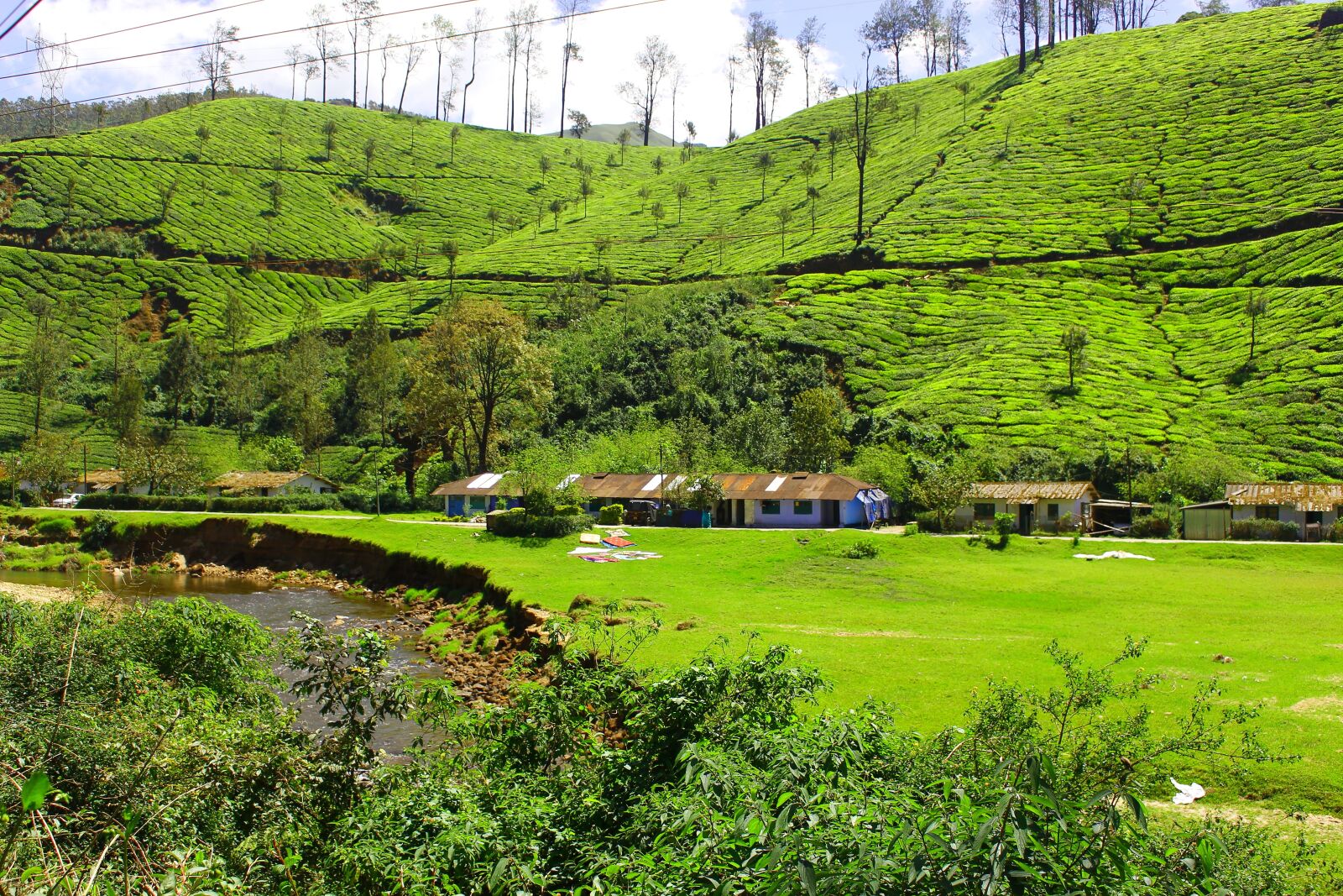 Canon EOS 700D (EOS Rebel T5i / EOS Kiss X7i) sample photo. Tea garden, hill station photography