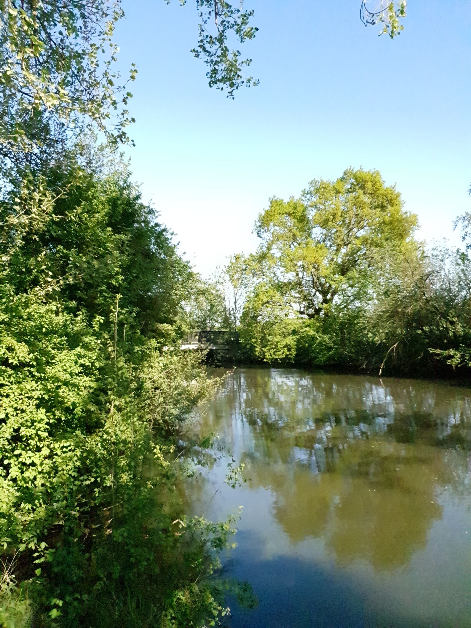 Samsung Galaxy S10 sample photo. Erft, riverside, mirroring photography