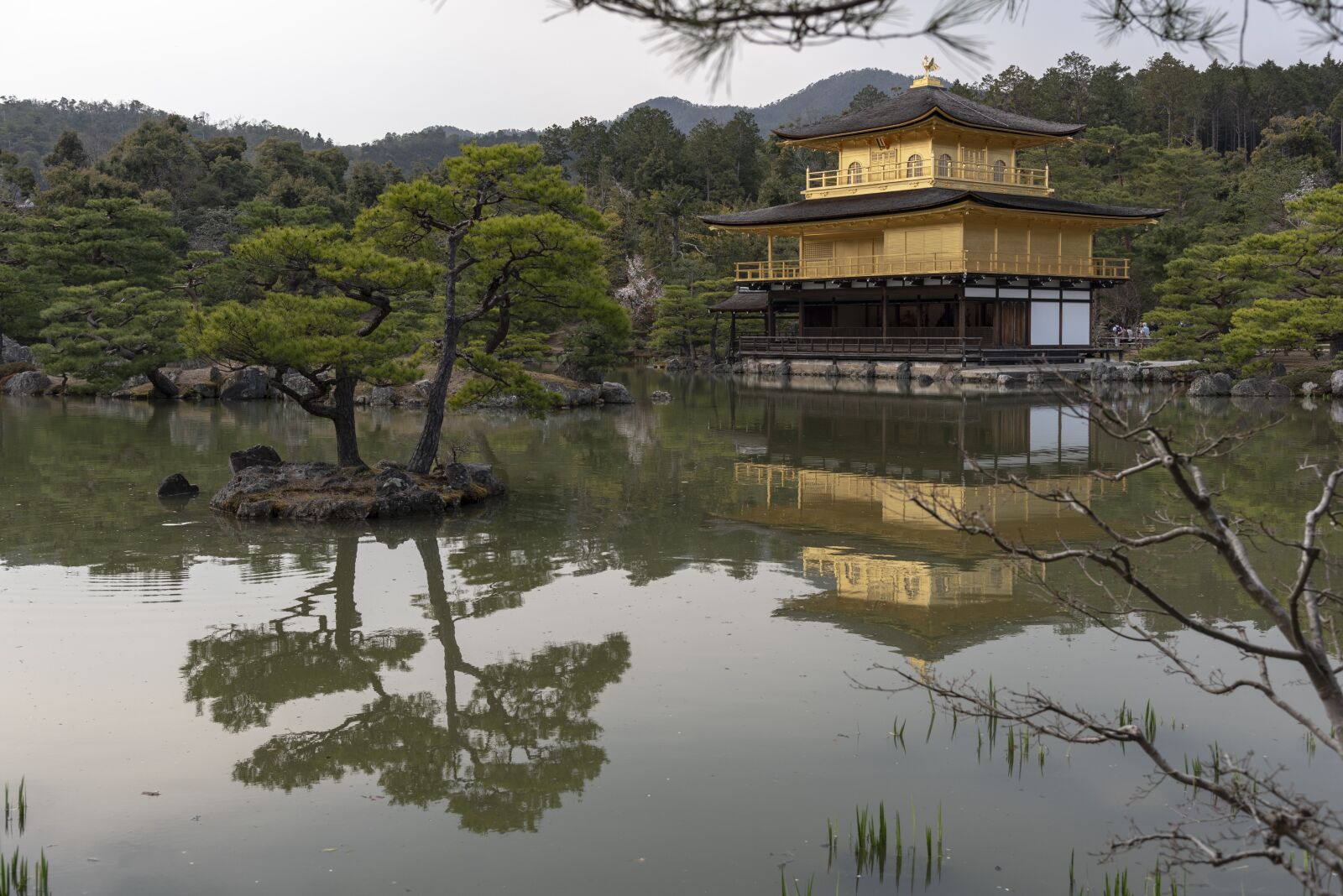 Nikon D750 sample photo. Kyoto, palace, pond photography