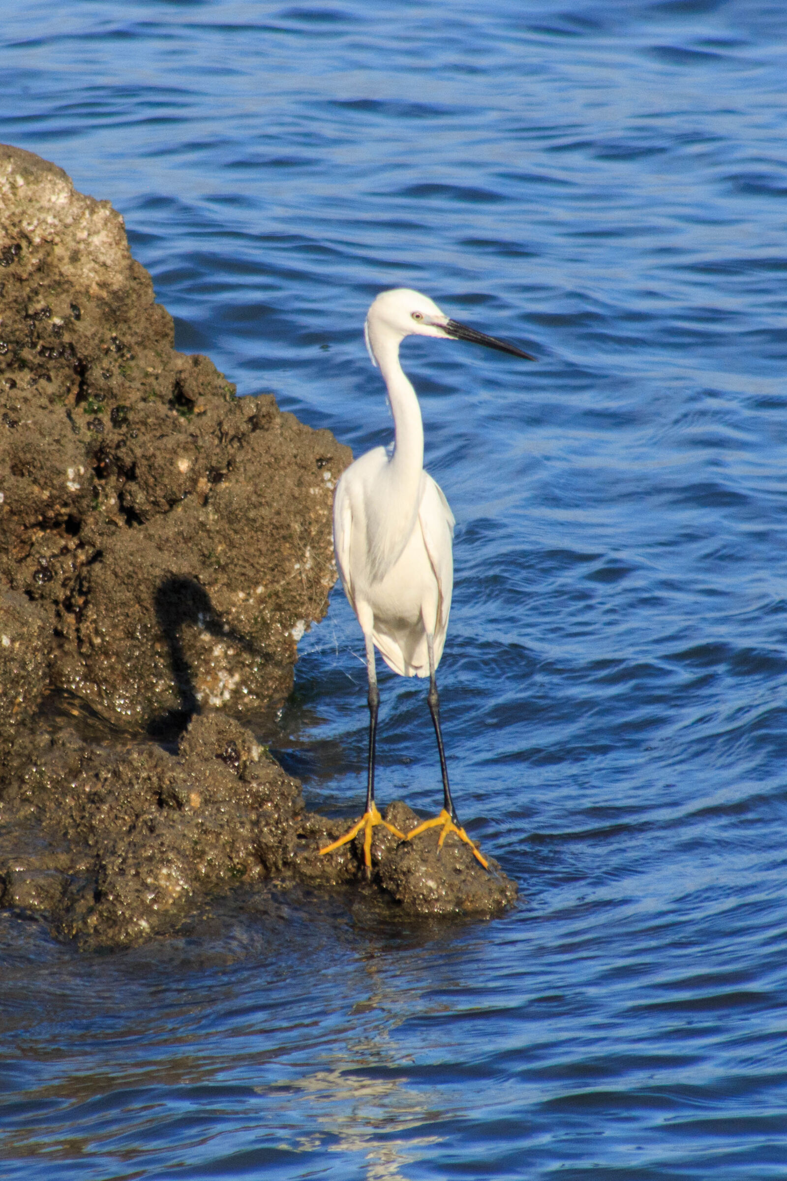 Canon EOS 6D + Sigma 70-300mm F4-5.6 DG OS sample photo