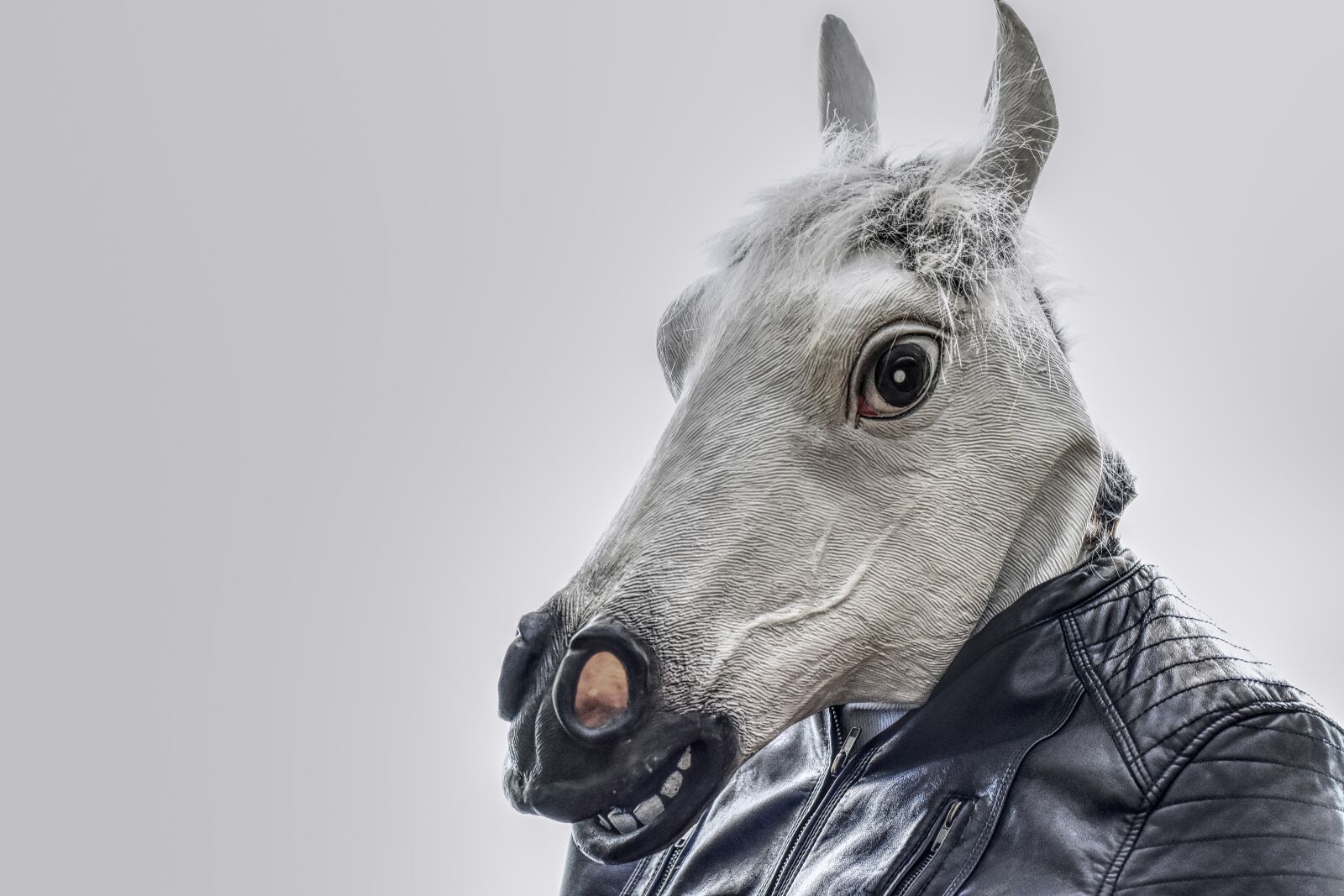 Nikon D7200 sample photo. Horse, leather jacket, mask photography