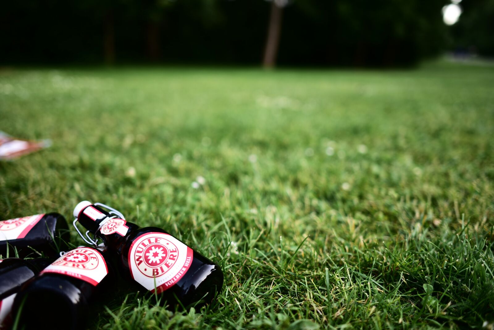Nikon D750 sample photo. Beer, summer, stuttgart photography