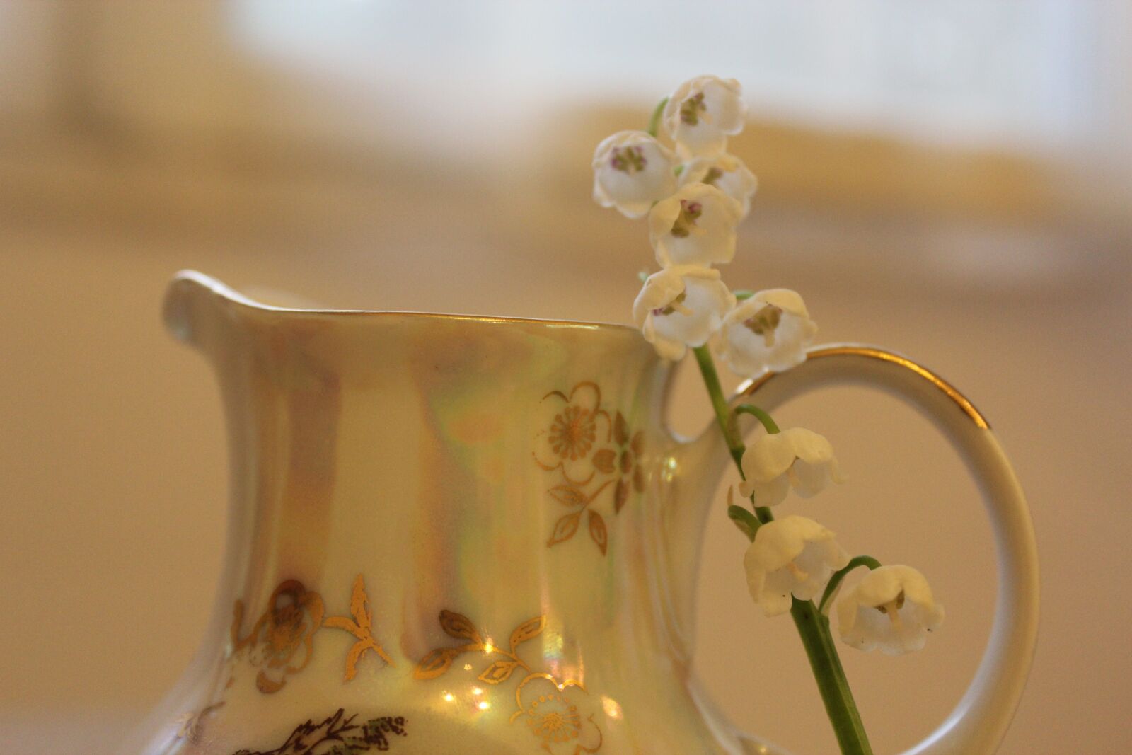 Canon EOS 600D (Rebel EOS T3i / EOS Kiss X5) sample photo. Lilies of the valley photography