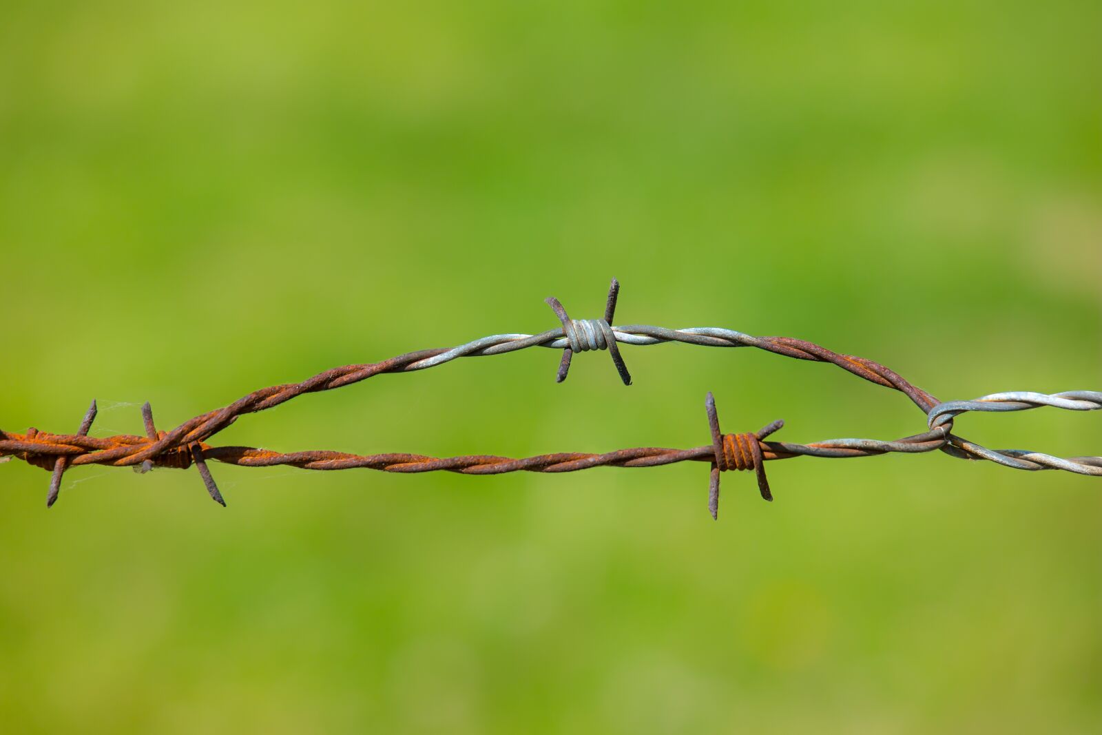 Samsung NX 50-200mm F4-5.6 ED OIS sample photo. Barbed wire, fence, rust photography