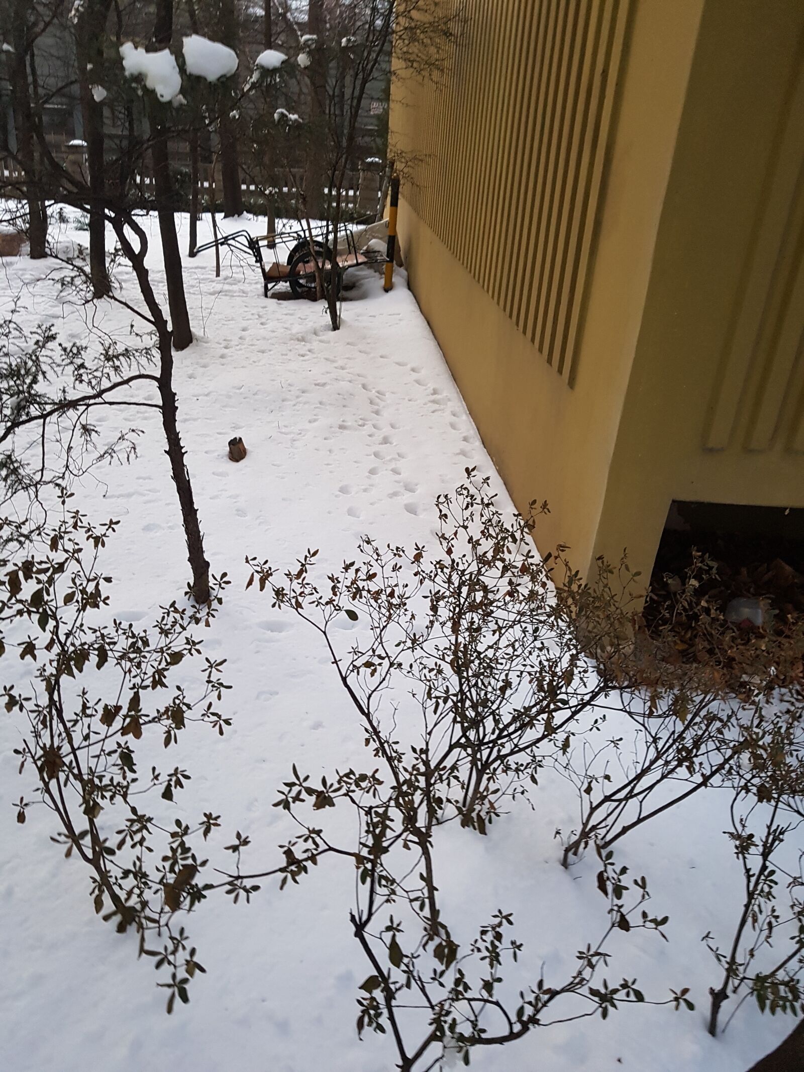 Samsung Galaxy Note Fan Edition sample photo. Winter, snow, footprint photography