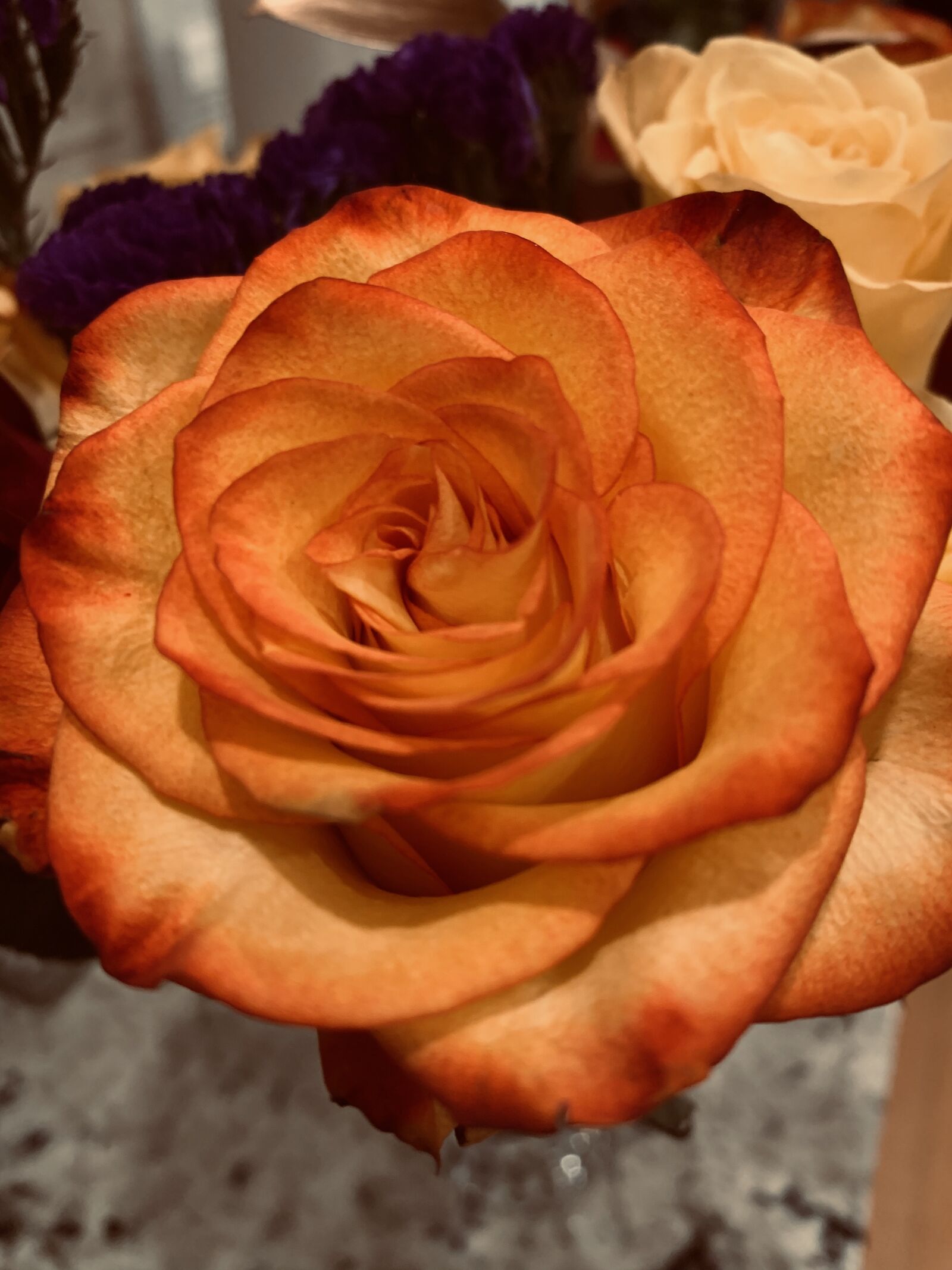 Apple iPhone XR sample photo. Flower, plant, nature photography