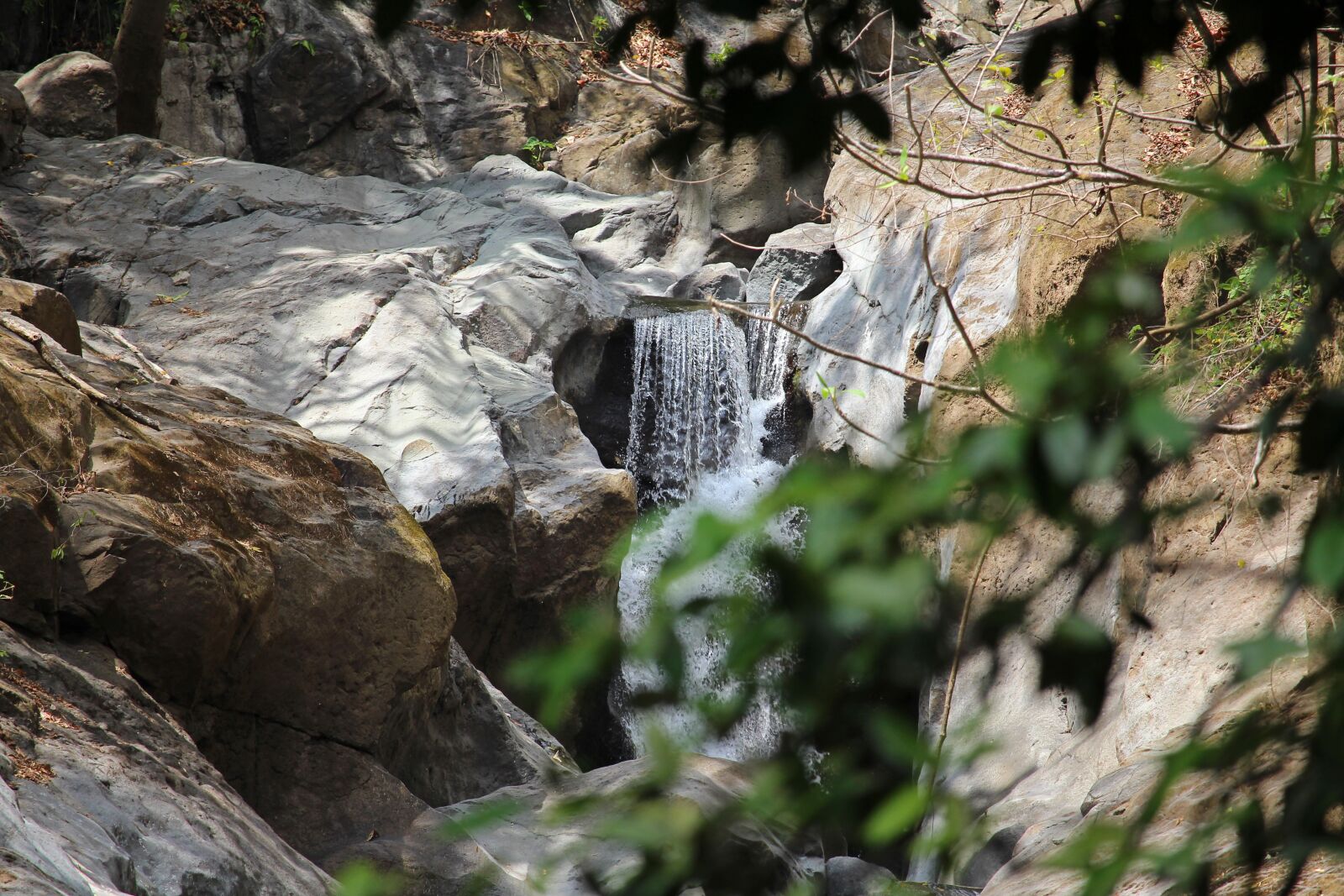 Canon EOS 700D (EOS Rebel T5i / EOS Kiss X7i) sample photo. Costa rica, tropical, jungle photography