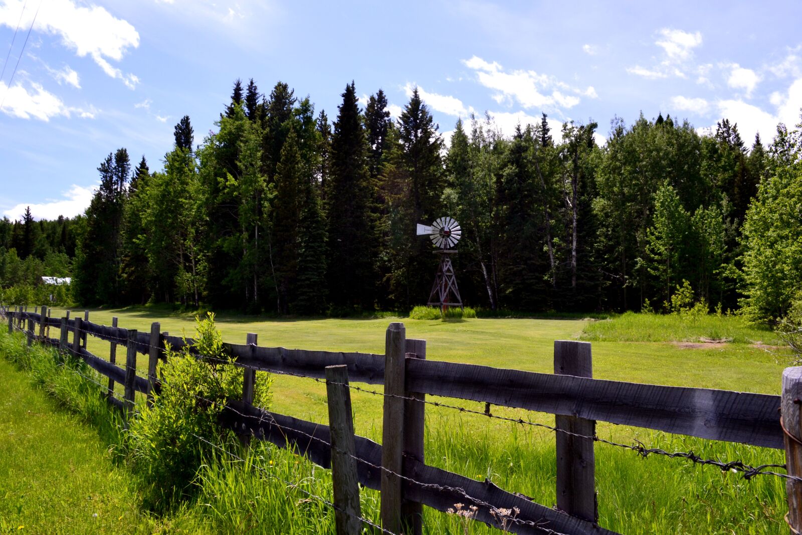 Nikon D3100 sample photo. Alberta, canada, outdoor photography