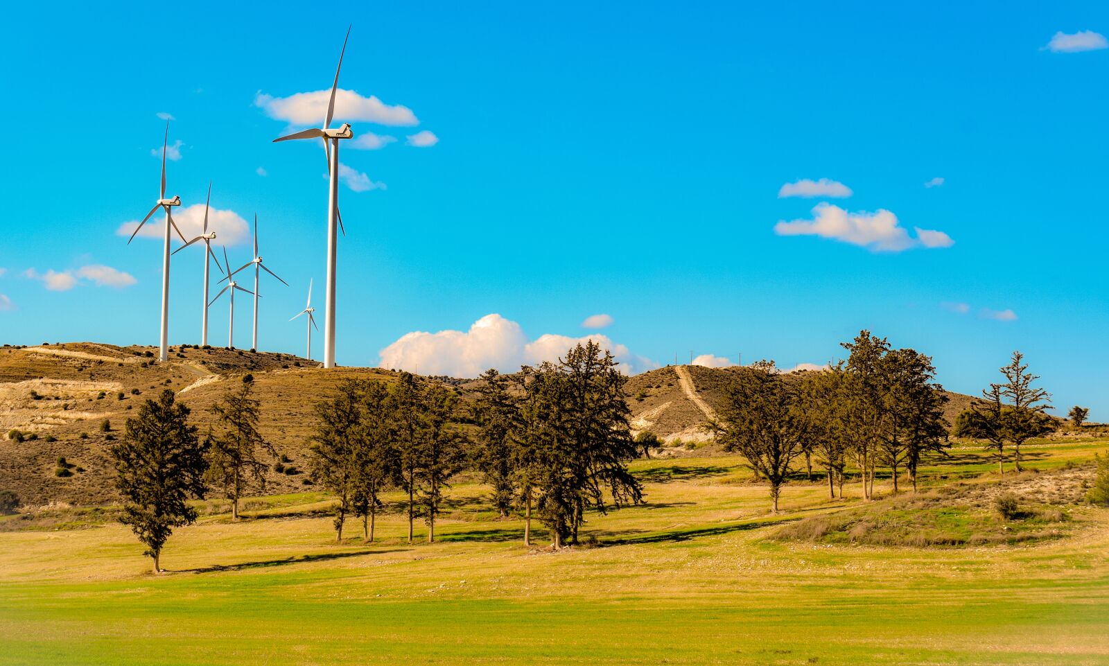 Nikon D3300 sample photo. Landscape, trees, windmills photography