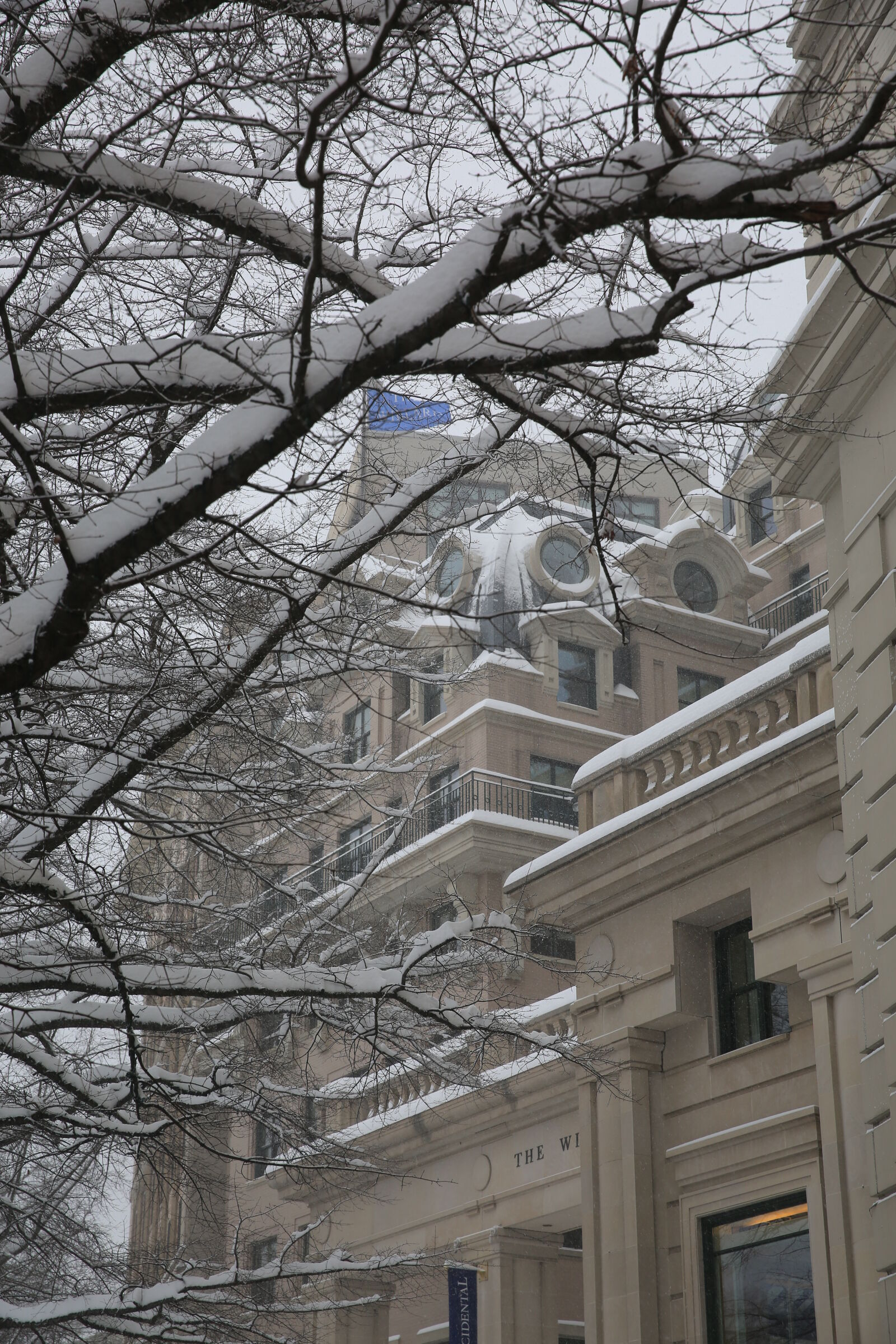 Canon EF 24-70mm F2.8L II USM sample photo
