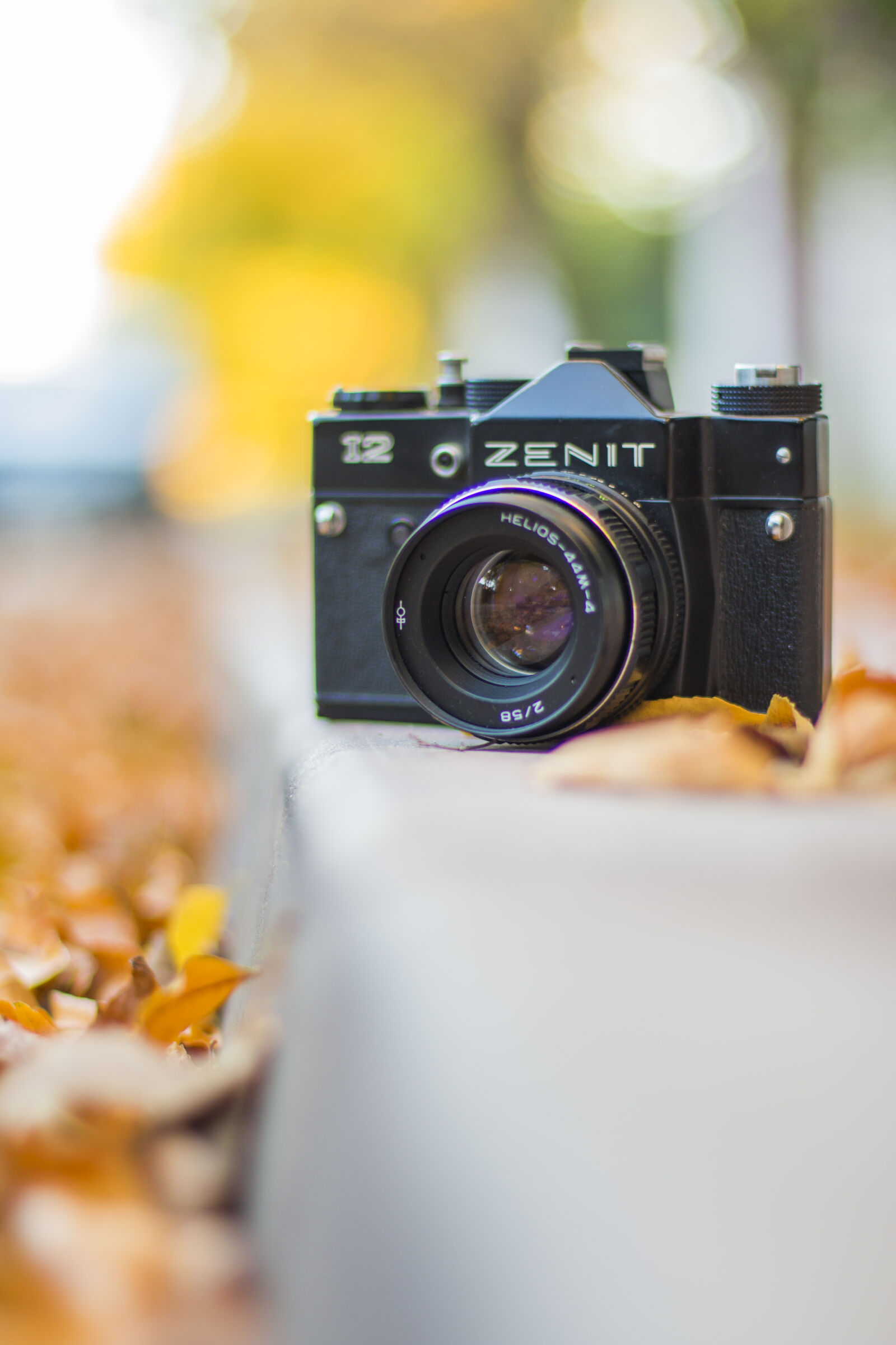 Canon EOS 70D + Canon EF 50mm F1.4 USM sample photo. Camera, photography, vintage, analog photography