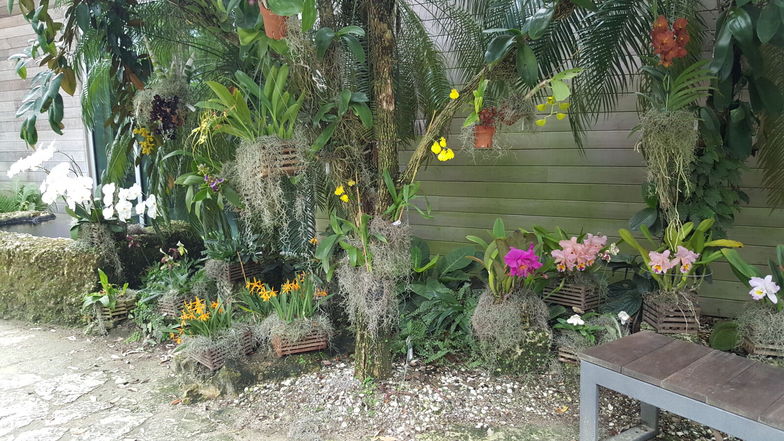 Samsung GALAXY S6 edge sample photo. Botanical, gardens photography