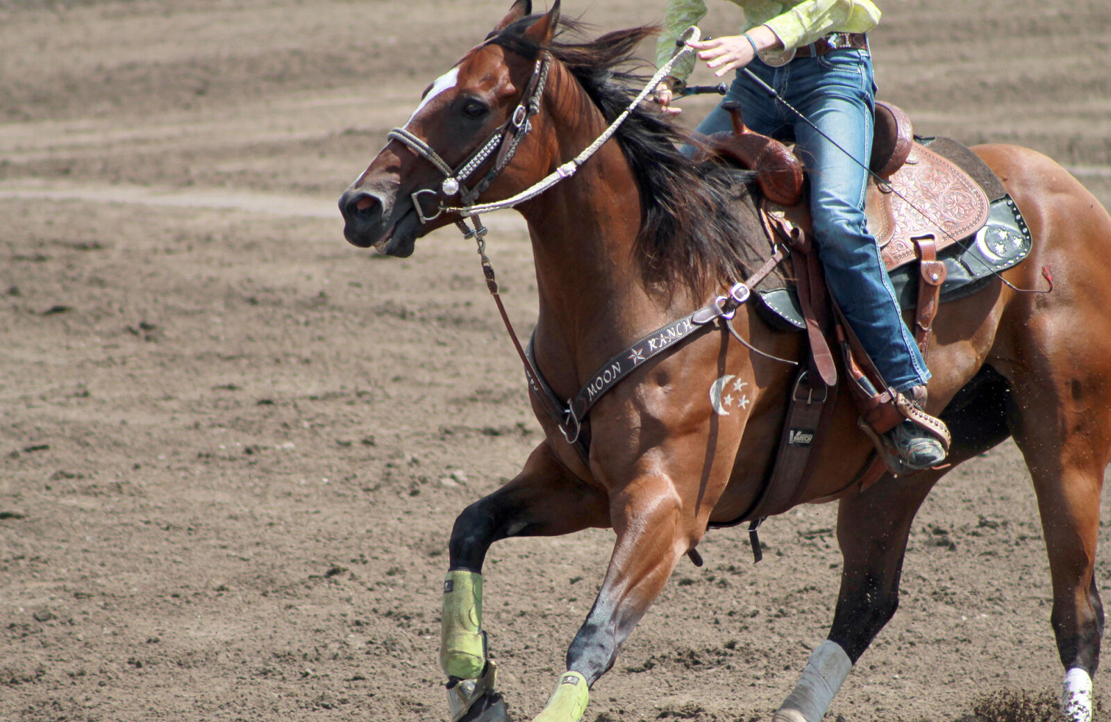 Canon EOS 1100D (EOS Rebel T3 / EOS Kiss X50) + Canon EF 75-300mm f/4-5.6 USM sample photo. Cowboy, horse photography