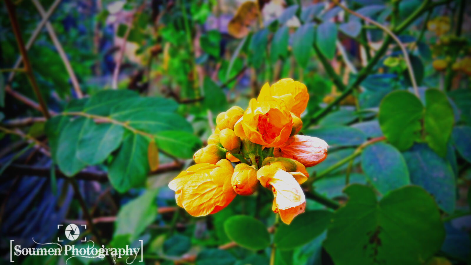 Lenovo VIBE X3 LITE sample photo