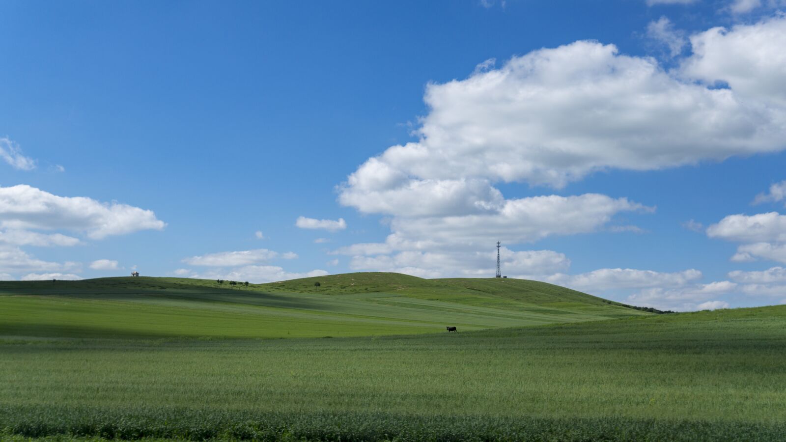 Sony a5100 sample photo. Prairie, blue sky, white photography