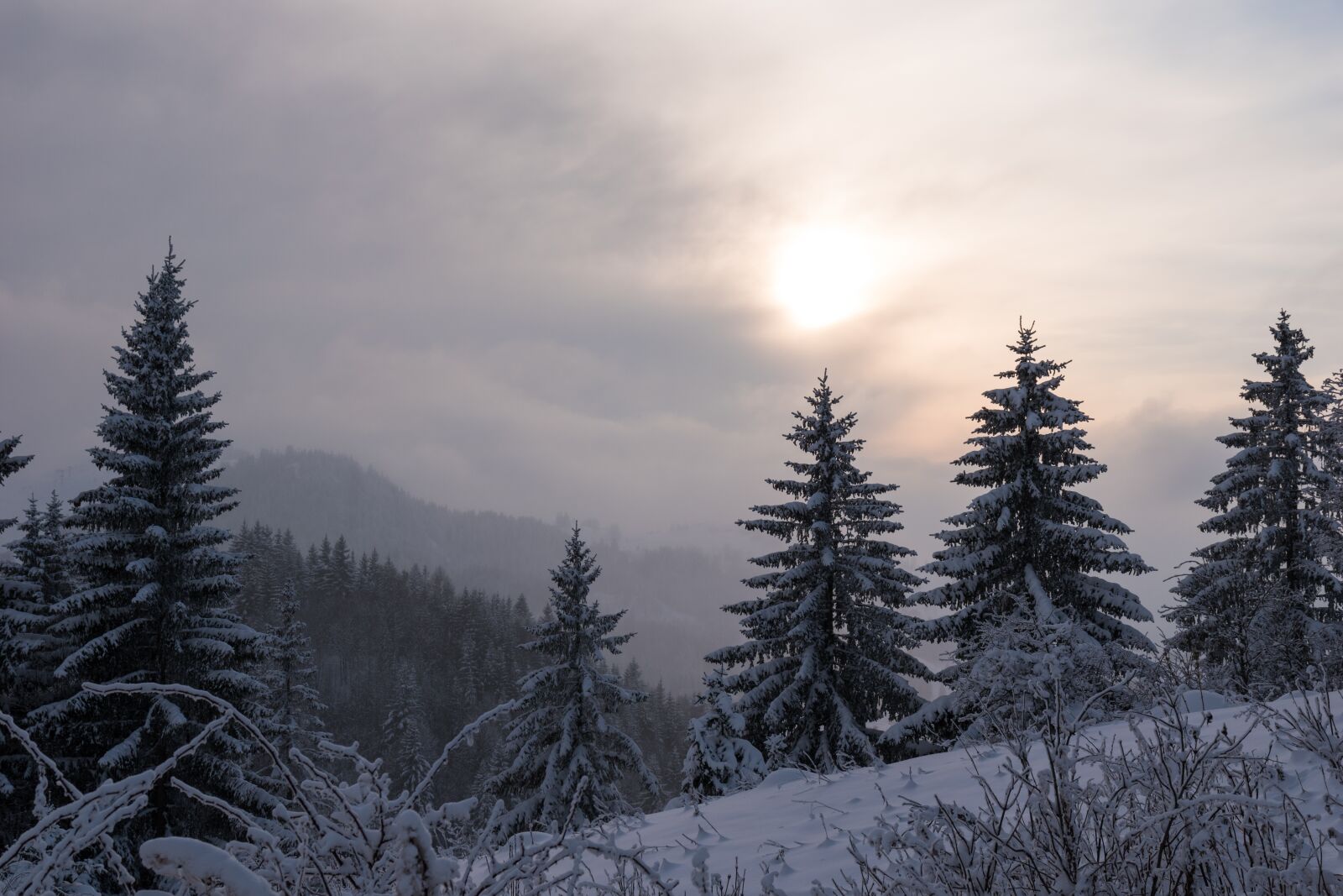 Nikon D5500 sample photo. Snow, winter, wood photography