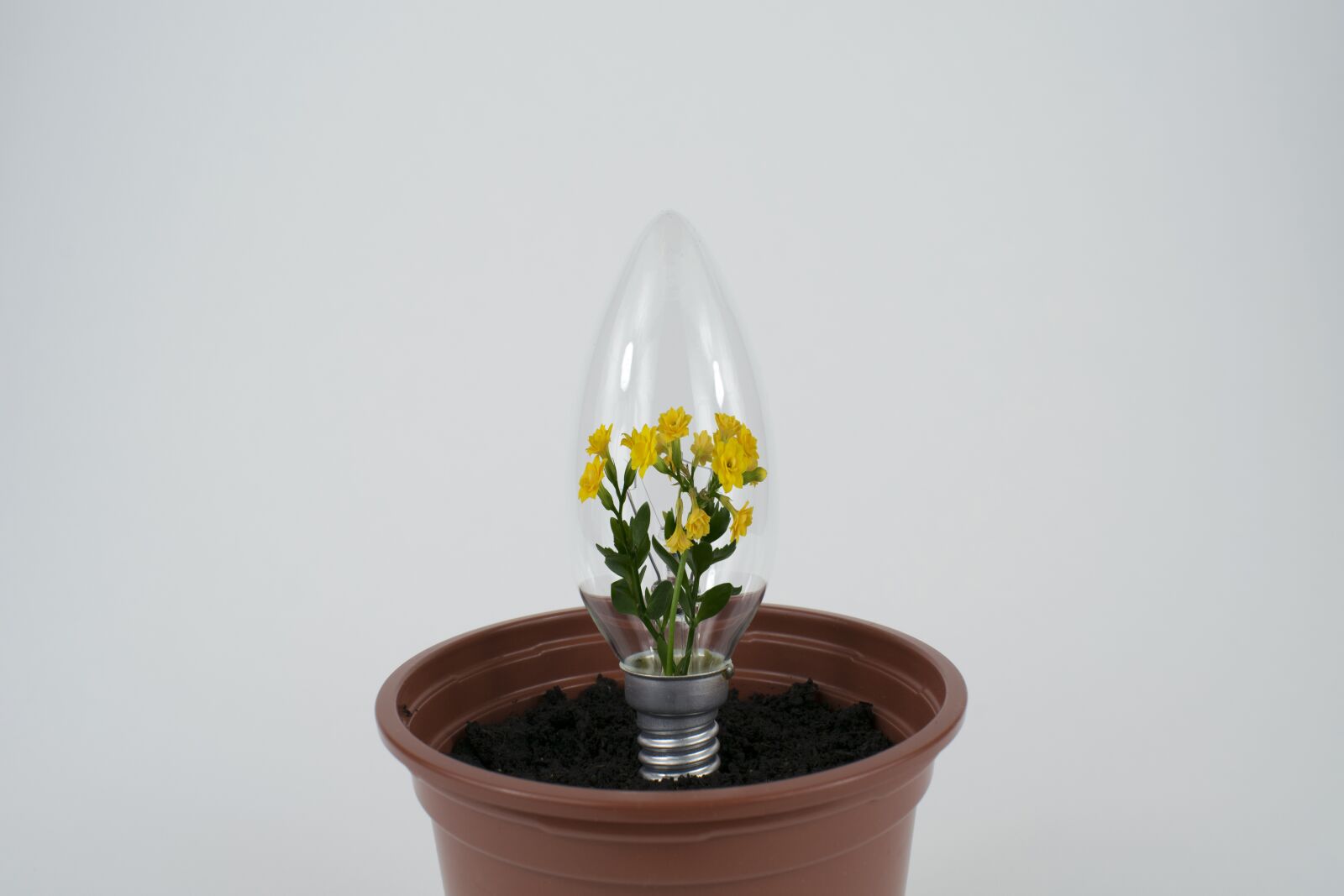 Nikon D3300 sample photo. Forget, it, too photography