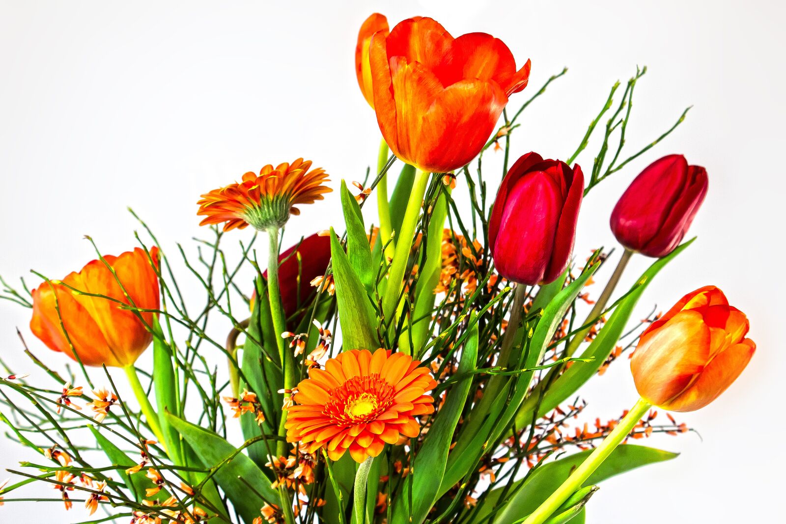 Canon EOS 1300D (EOS Rebel T6 / EOS Kiss X80) sample photo. Tulip, gerbera, composites photography