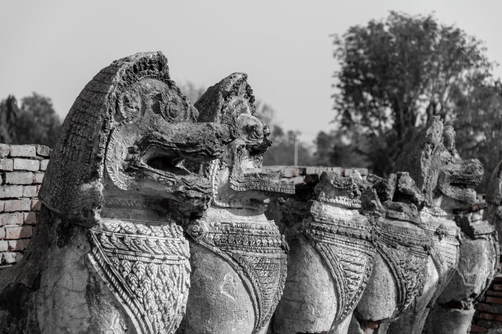 Nikon D5600 sample photo. Statue, temple, buddha photography