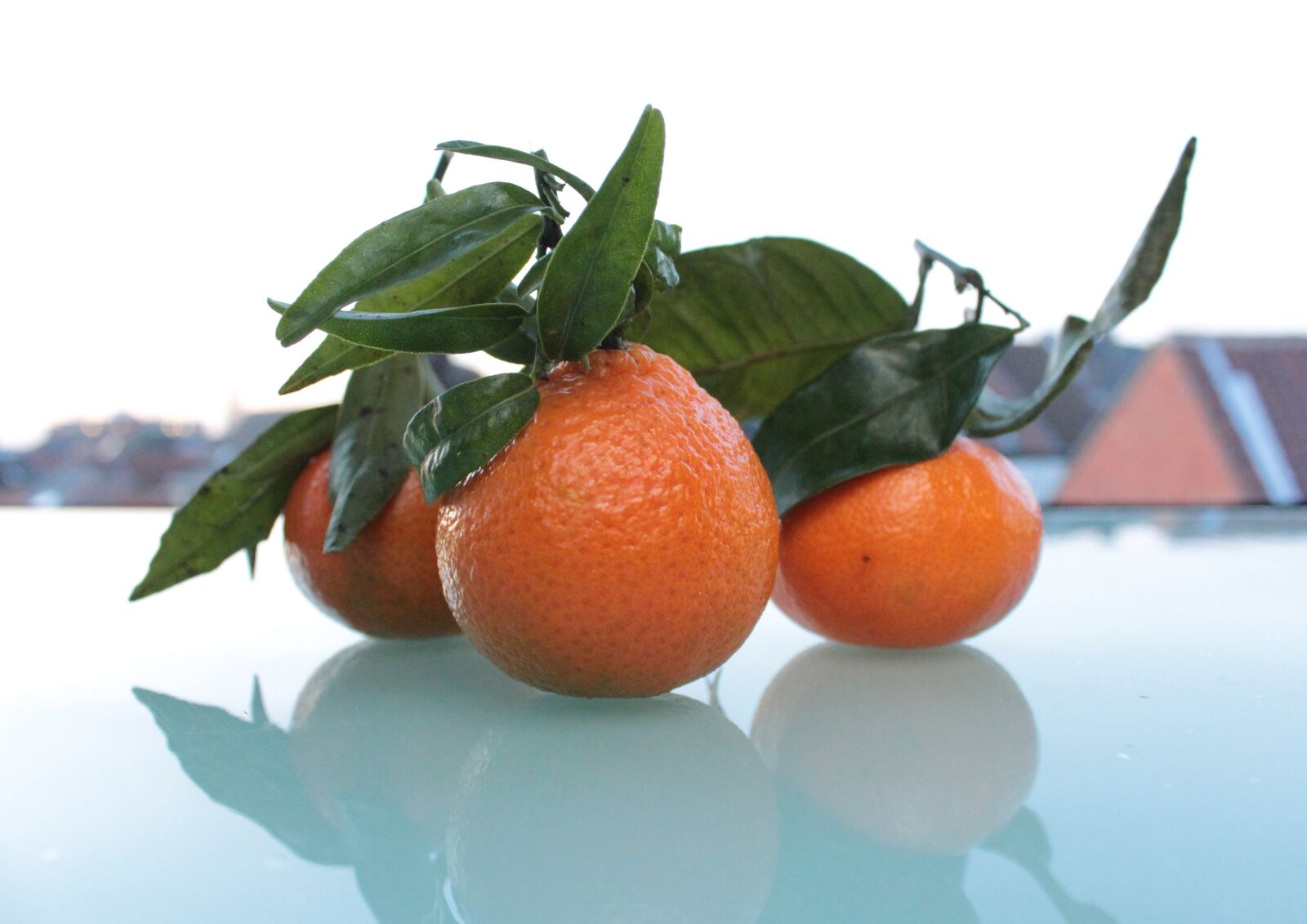 Canon EOS 600D (Rebel EOS T3i / EOS Kiss X5) sample photo. Mandarins, closeup, food photography