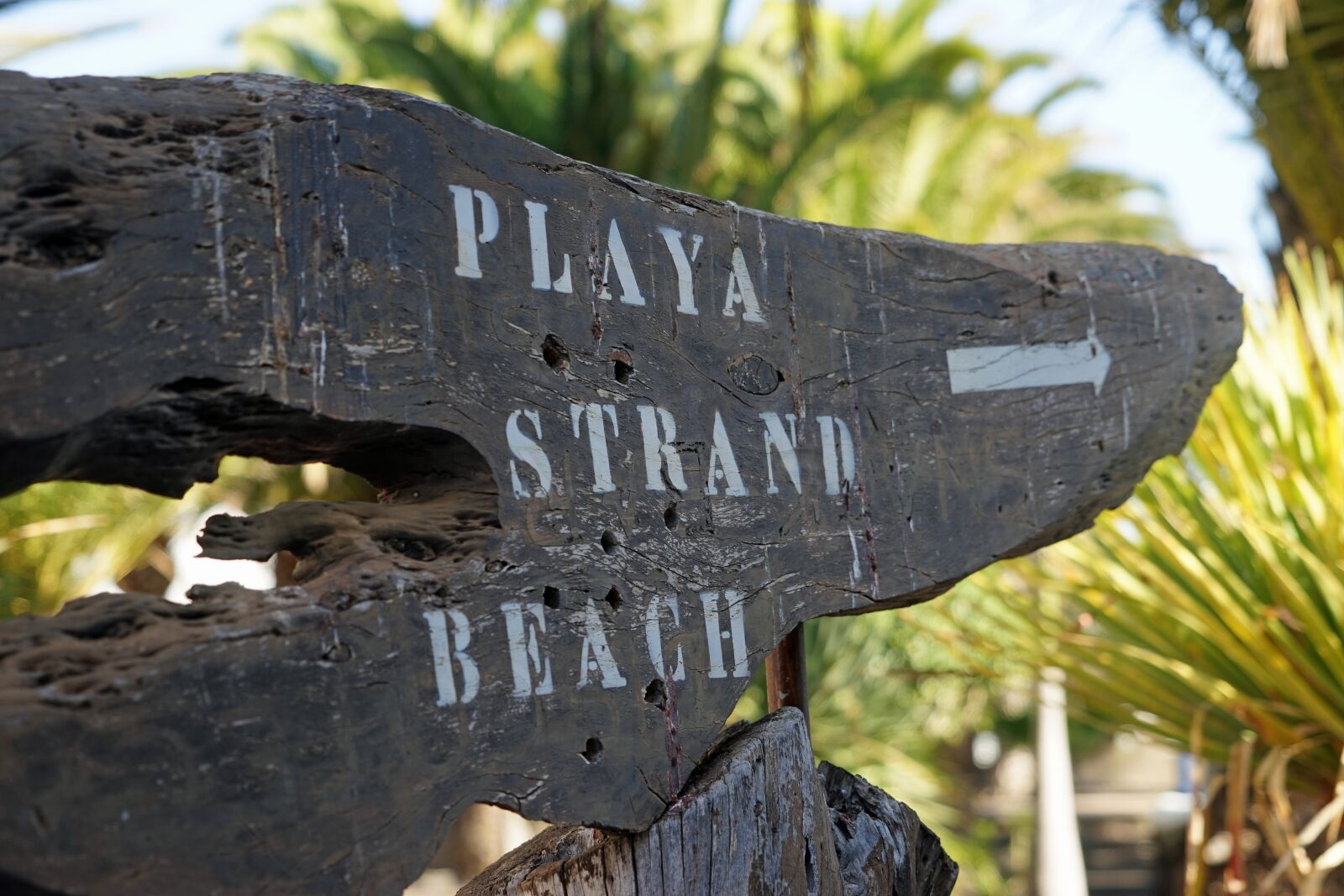 Sony a7 + Sony FE 24-240mm F3.5-6.3 OSS sample photo. Shield, note, sign photography