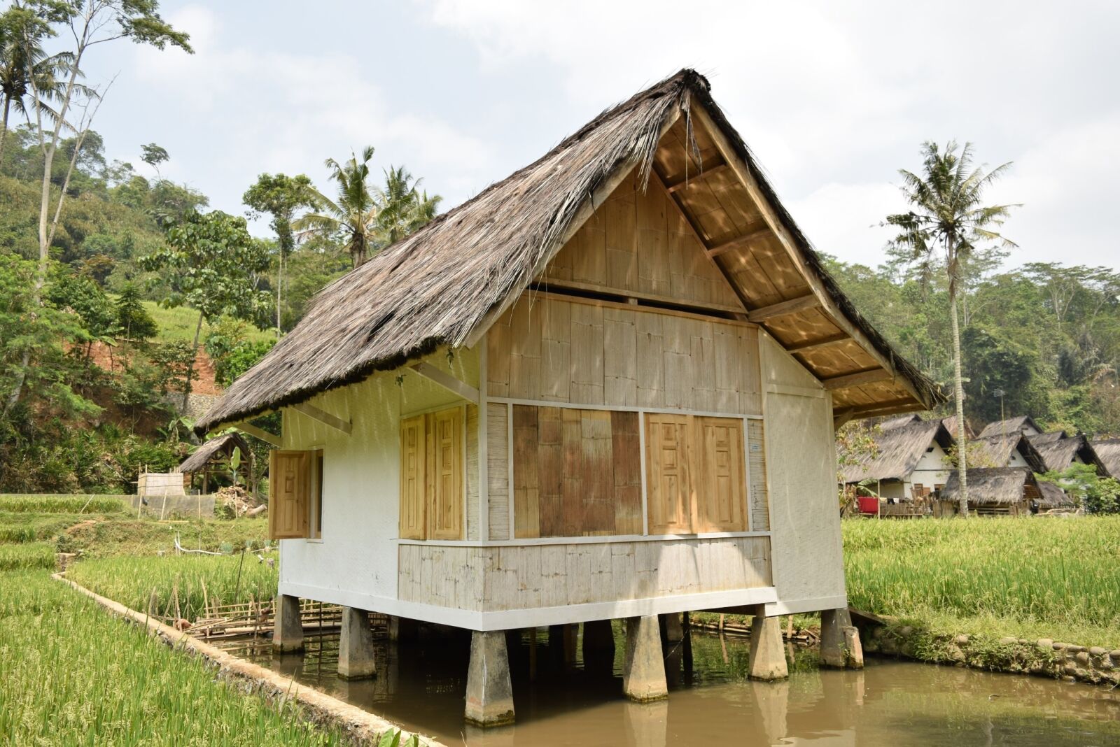 Nikon D3300 sample photo. House, village, building photography