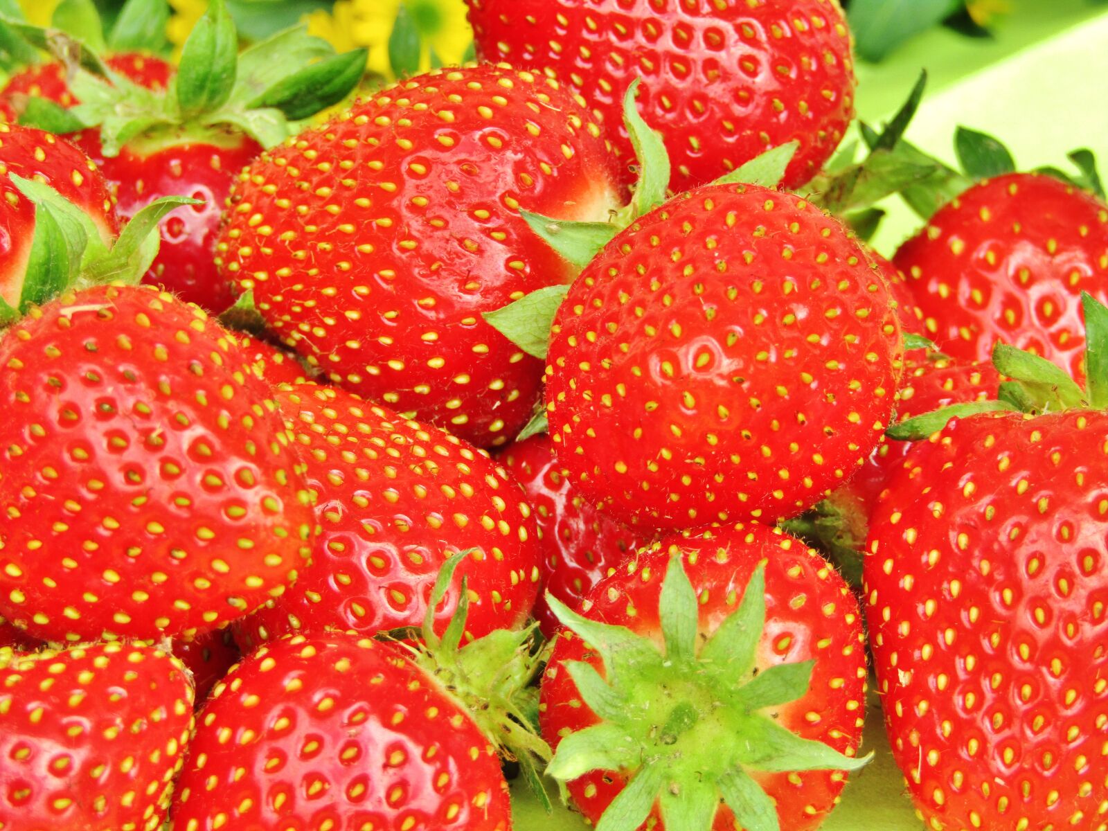 Canon POWERSHOT SX432 IS sample photo. Strawberries, fruit, food photography