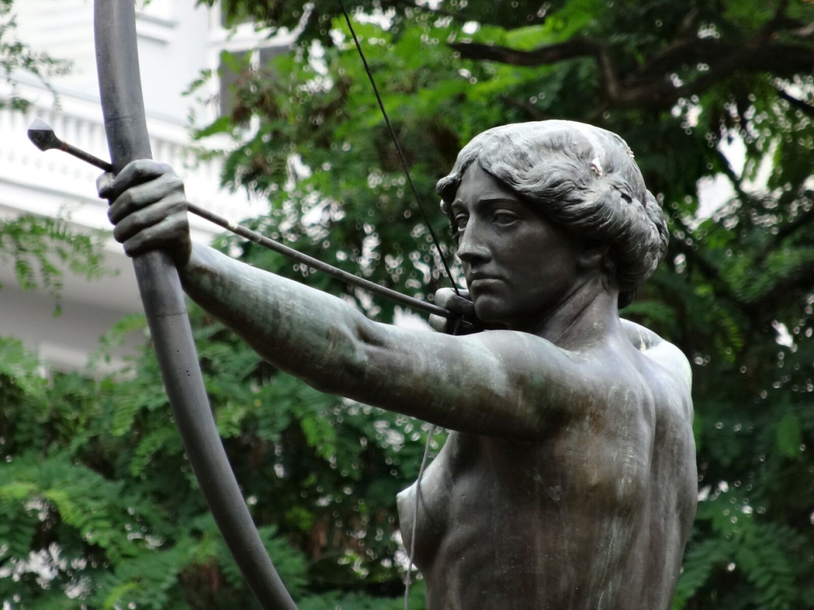 Sony Cyber-shot DSC-HX20V sample photo. Luczniczka, bydgoszcz, statue photography