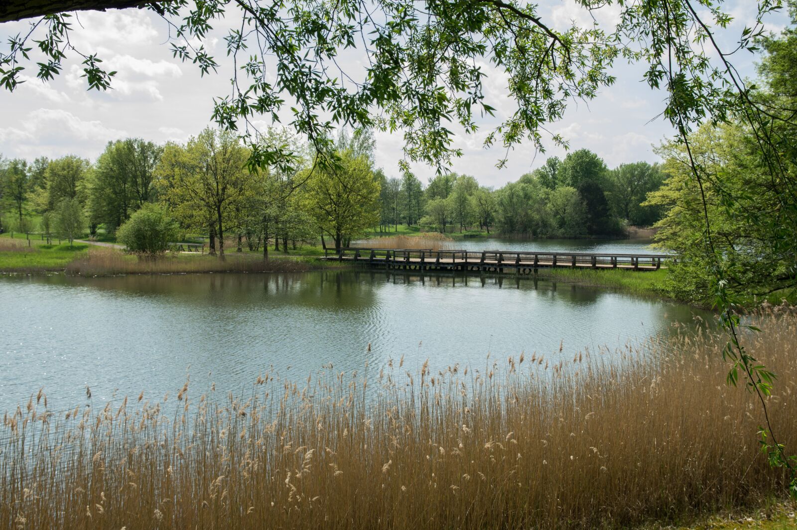 Pentax K-3 sample photo. Waters, nature, tree photography