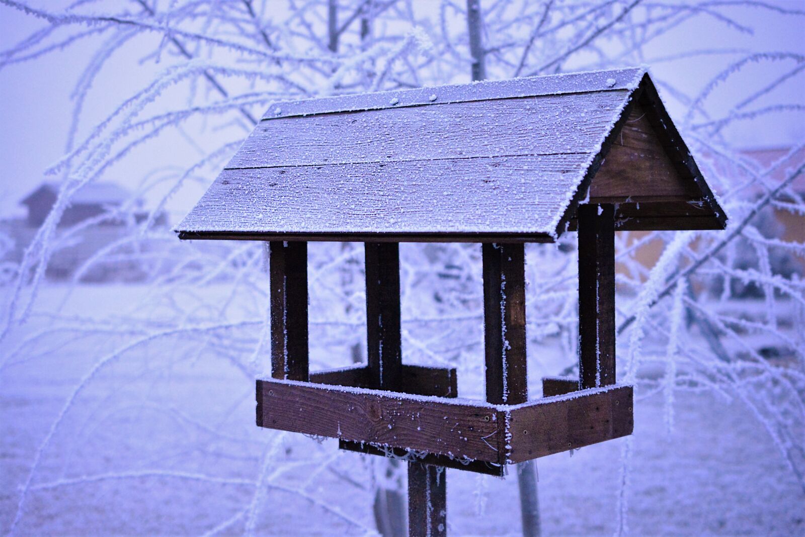 Nikon D5200 sample photo. The feeder, winter, snow photography