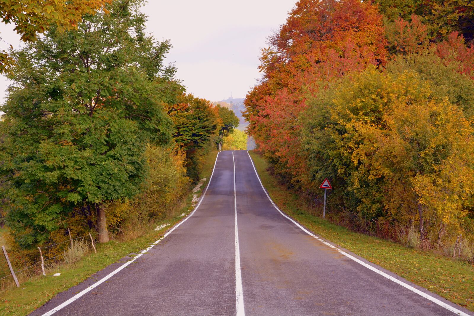 Nikon D7100 sample photo. Road, trees, autumn photography
