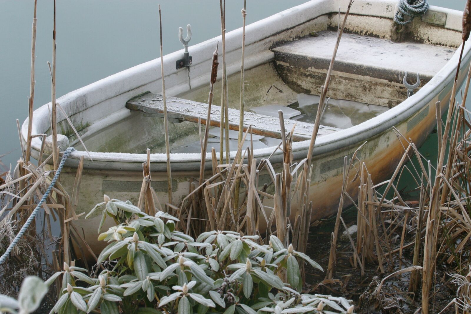 Canon EOS D60 sample photo. Rowing boat, frost, rhododendron photography