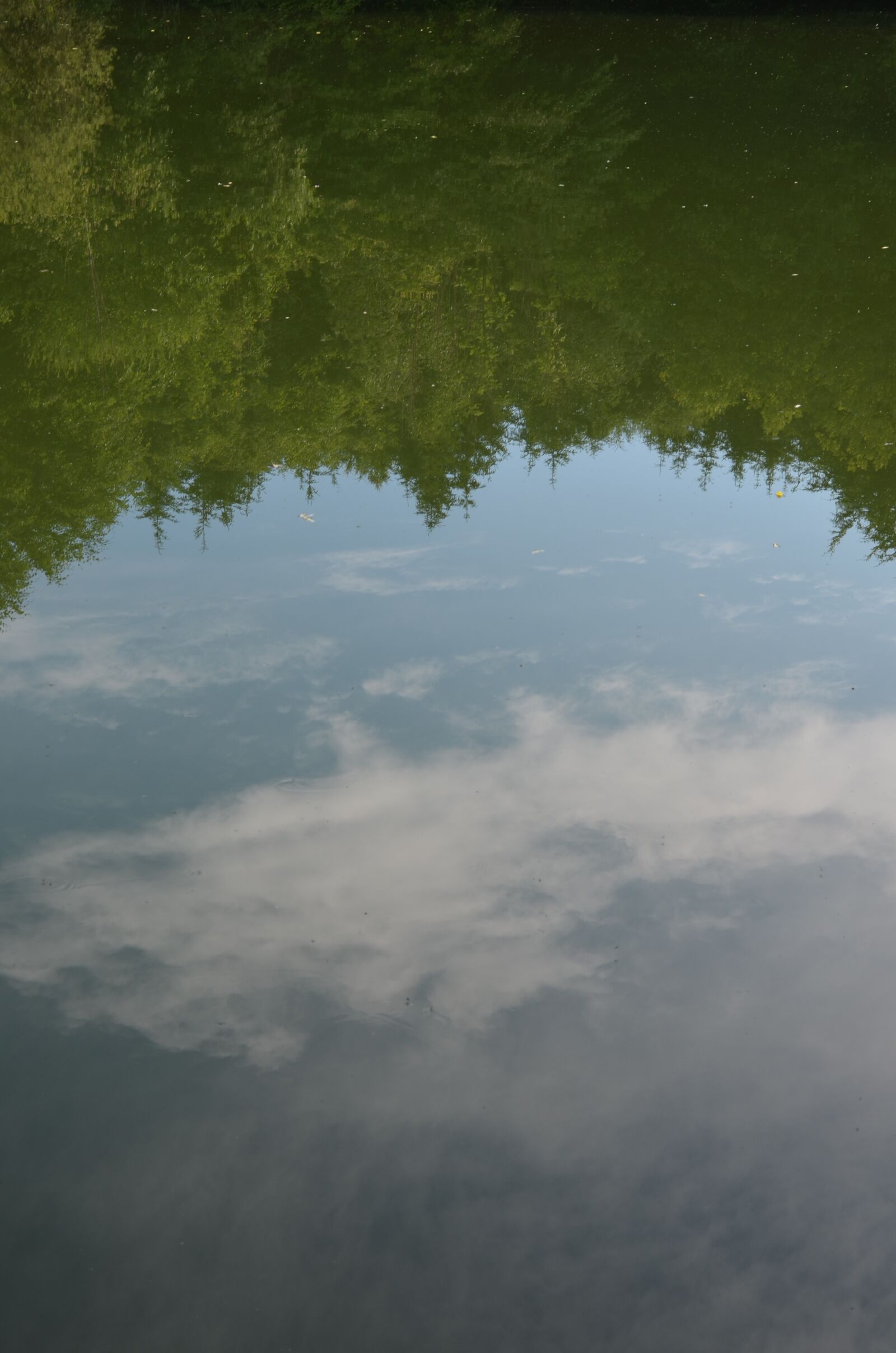 Nikon D5100 sample photo. Mirroring, lake, pond photography