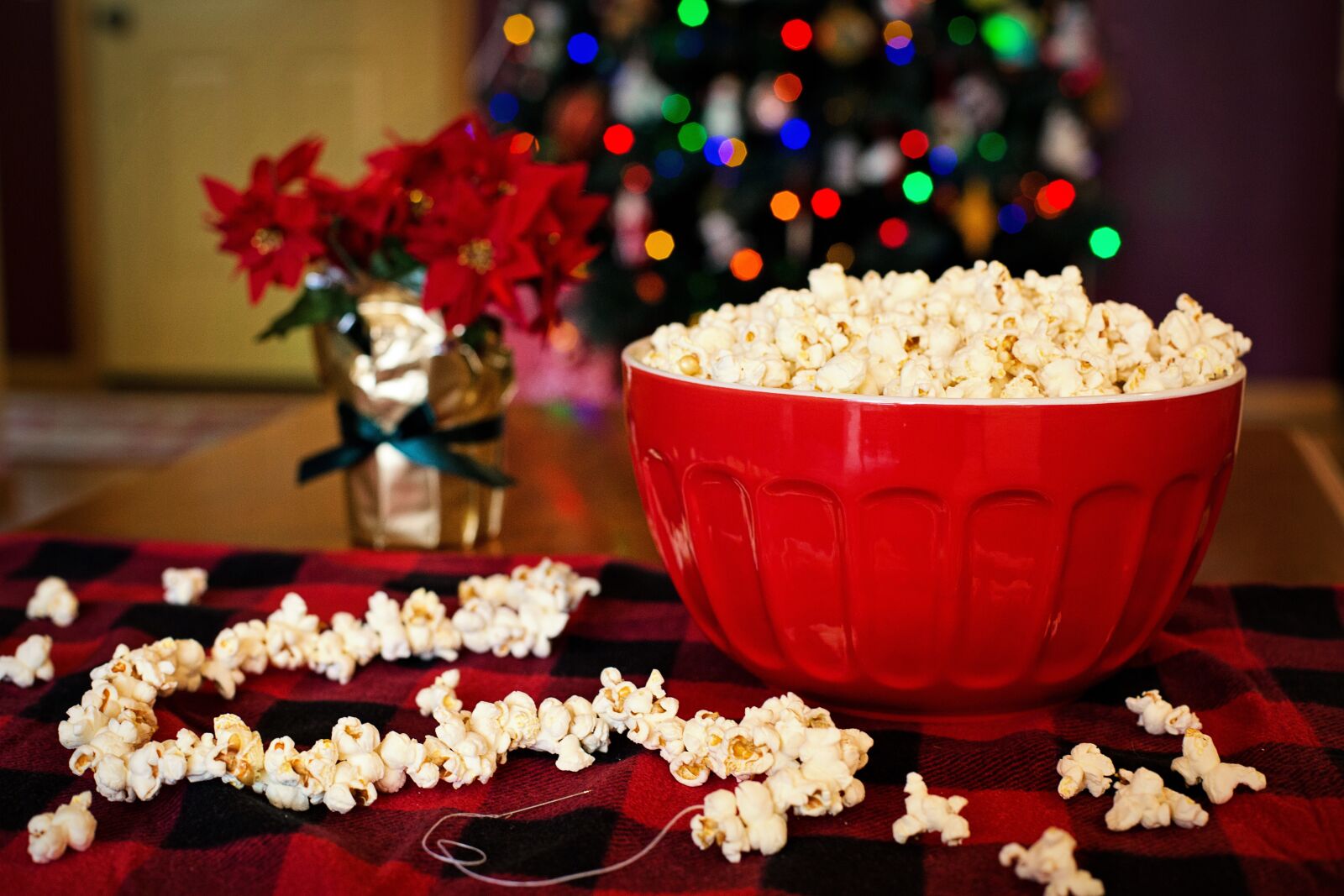 Canon EF 50mm F1.4 USM sample photo. Popcorn, stringing popcorn, christmas photography