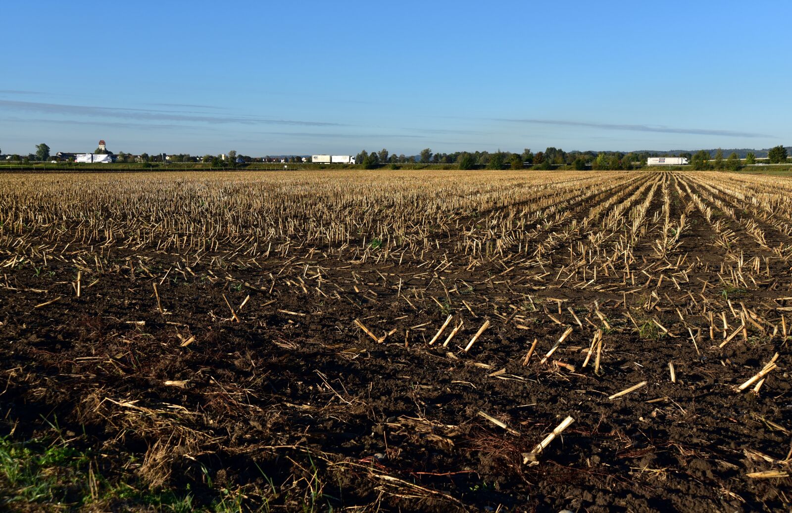 Nikon D750 sample photo. Stubble, field, harvested photography