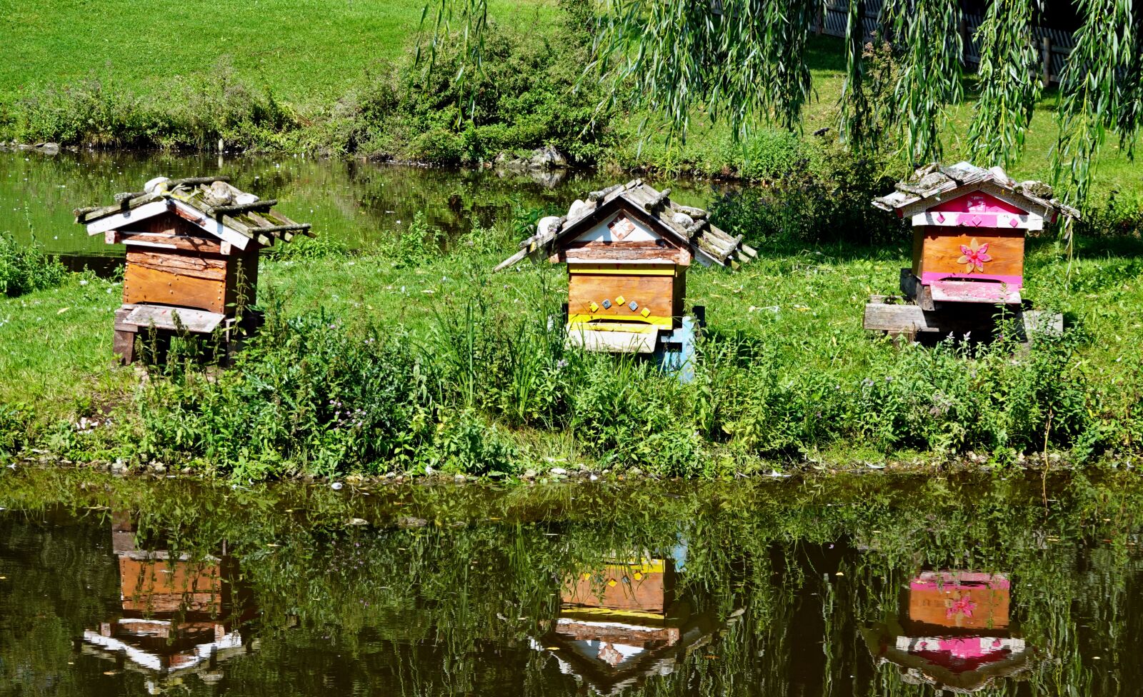 Sony Cyber-shot DSC-RX100 VI sample photo. Beehive, bee house, mirroring photography