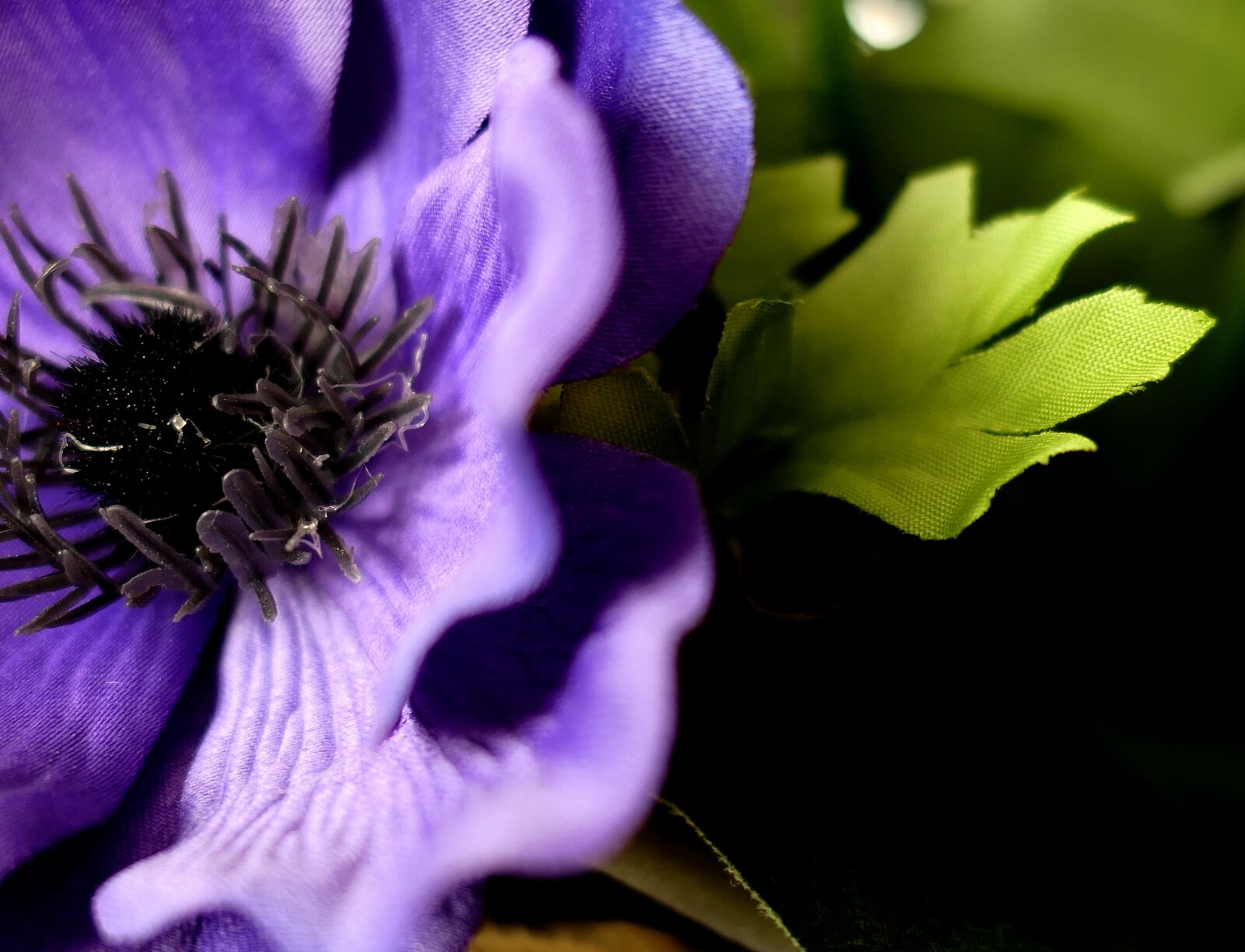 Panasonic Lumix DMC-LX10 (Lumix DMC-LX15) sample photo. Art flower, flower, nature photography
