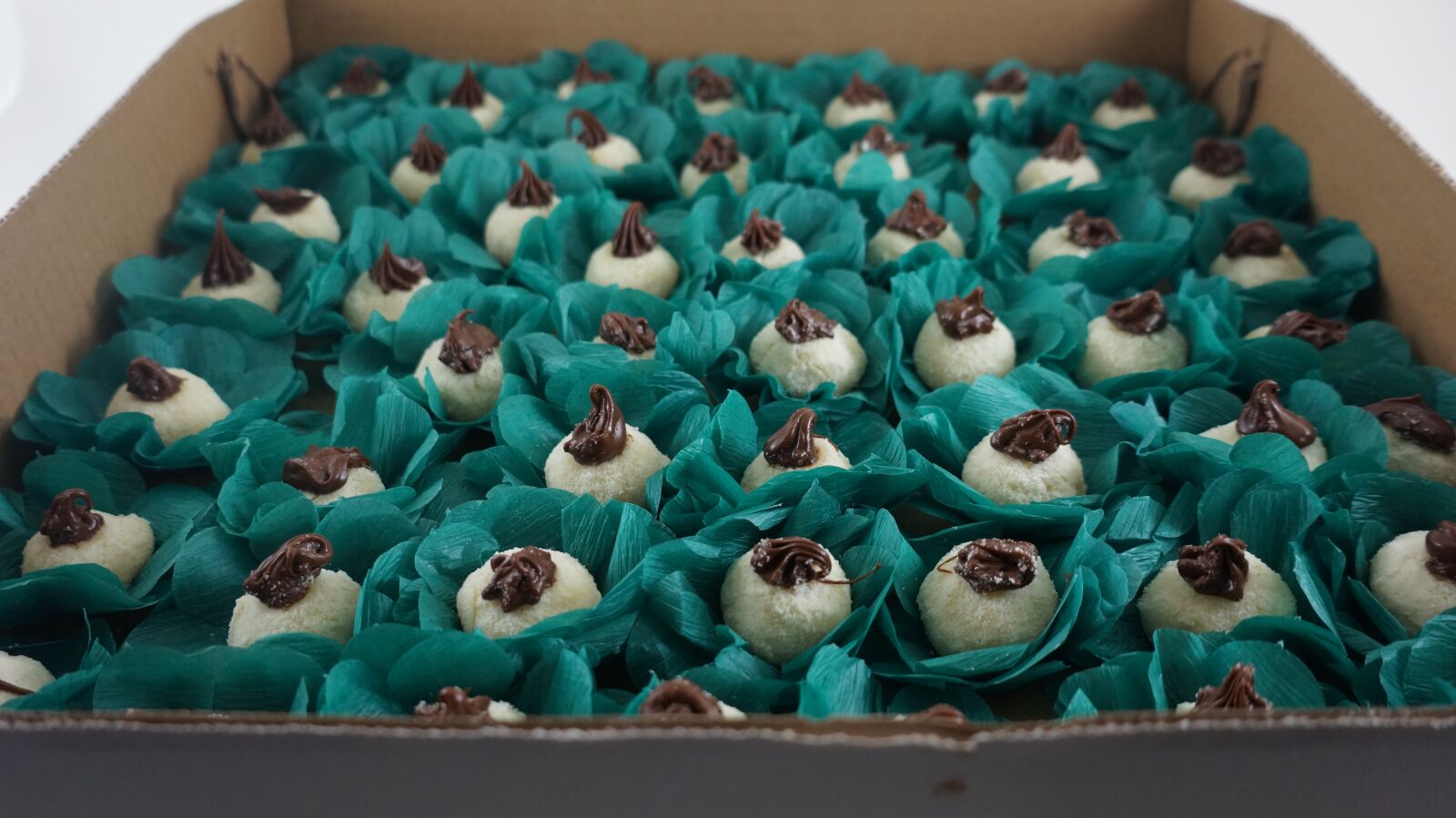 E 18-50mm F4-5.6 sample photo. Sweet, candy, party photography
