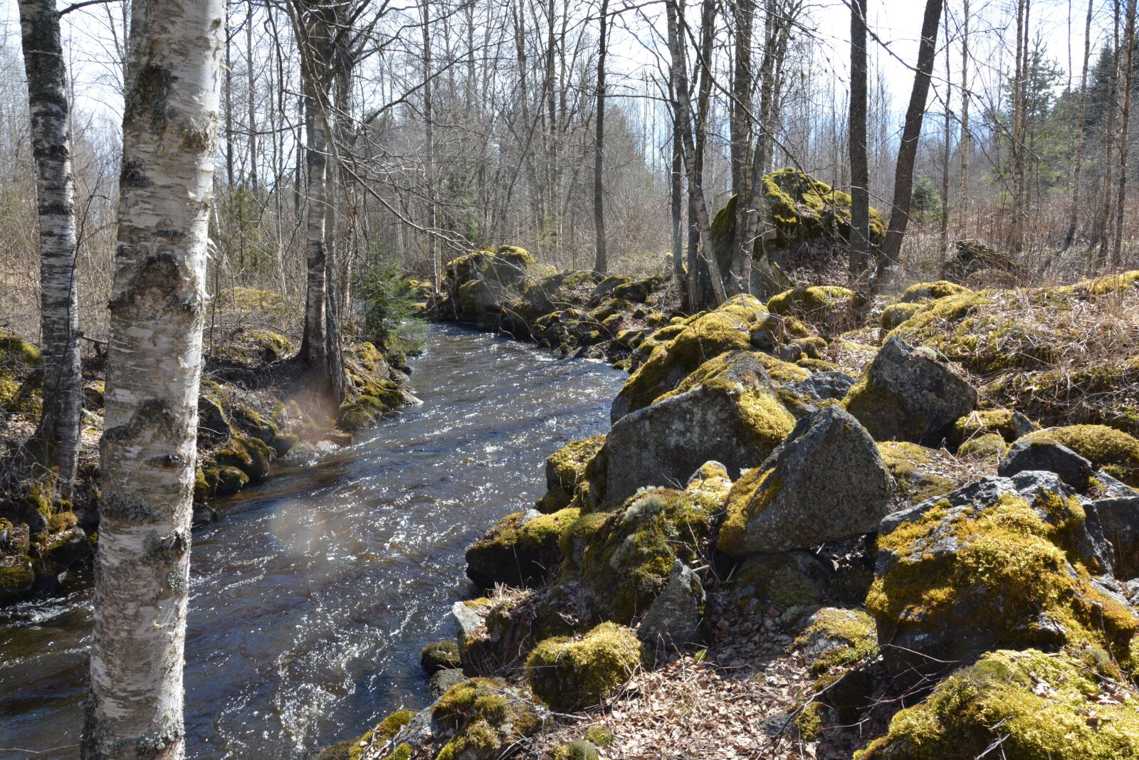 Nikon D5200 sample photo. River, stones, moss photography