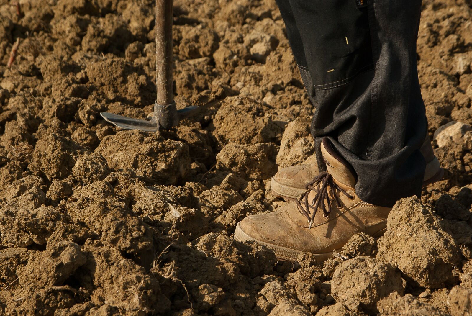 Pentax K10D sample photo. Farmer, land field, tool photography