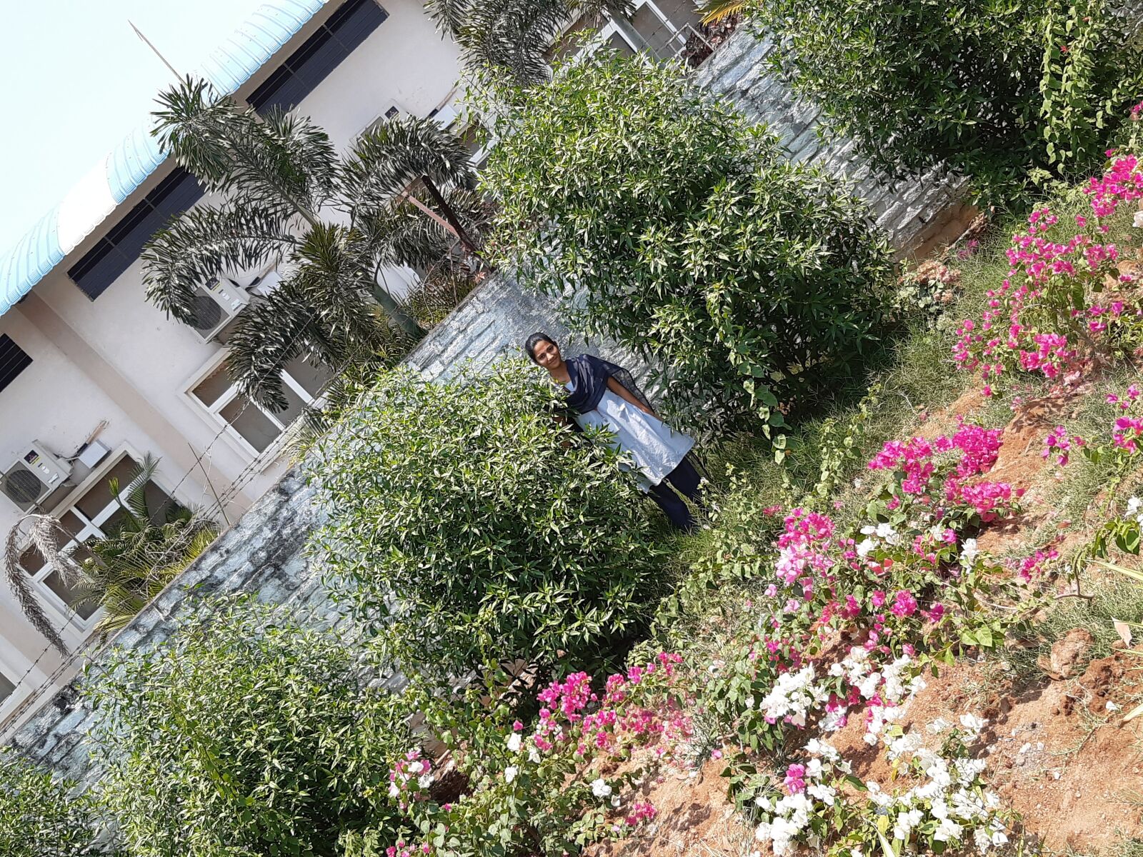 Samsung Galaxy A30 sample photo. Garden, flowers, scenery photography
