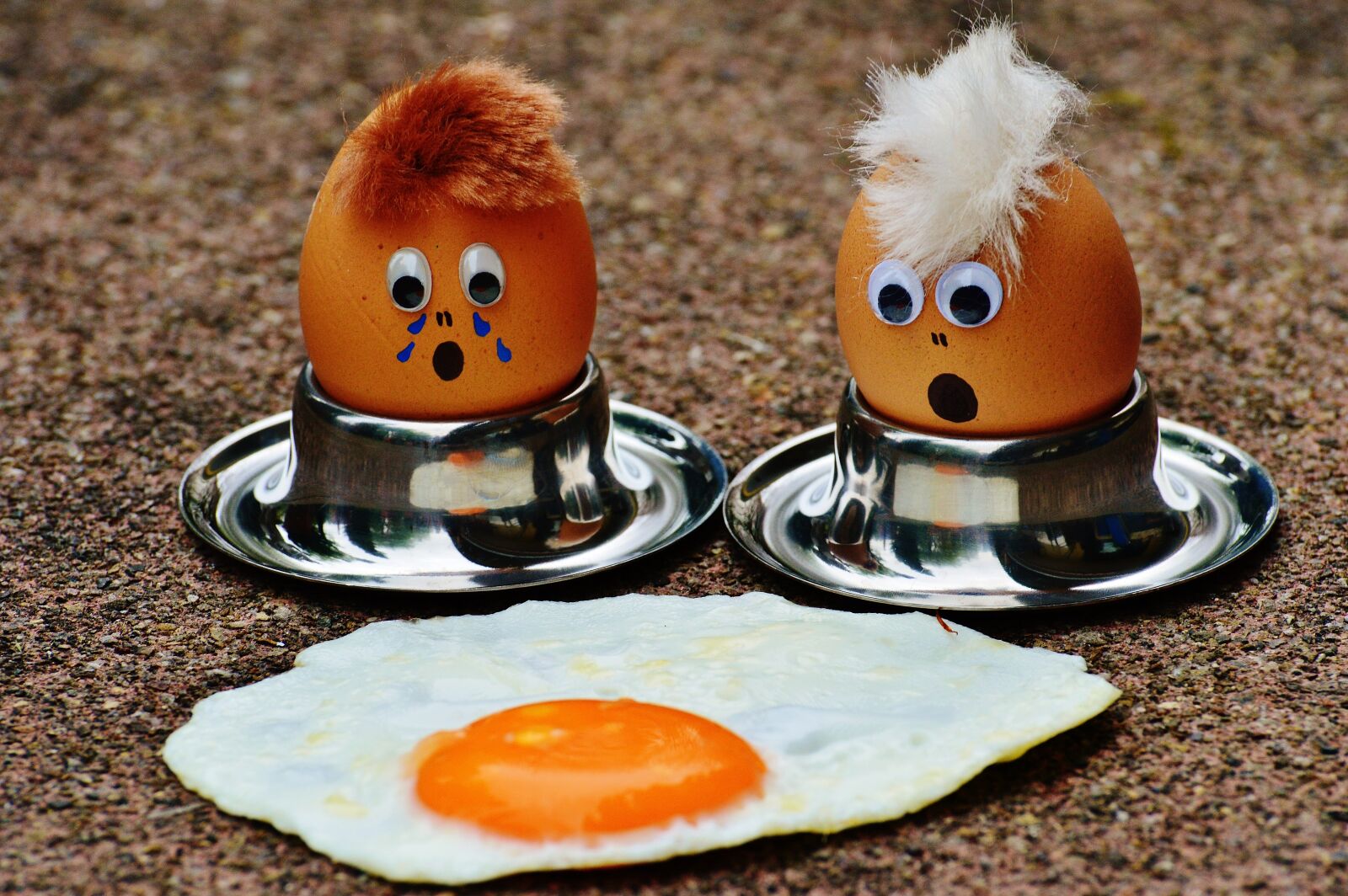 Nikon D3200 sample photo. Egg, fried, mourning photography